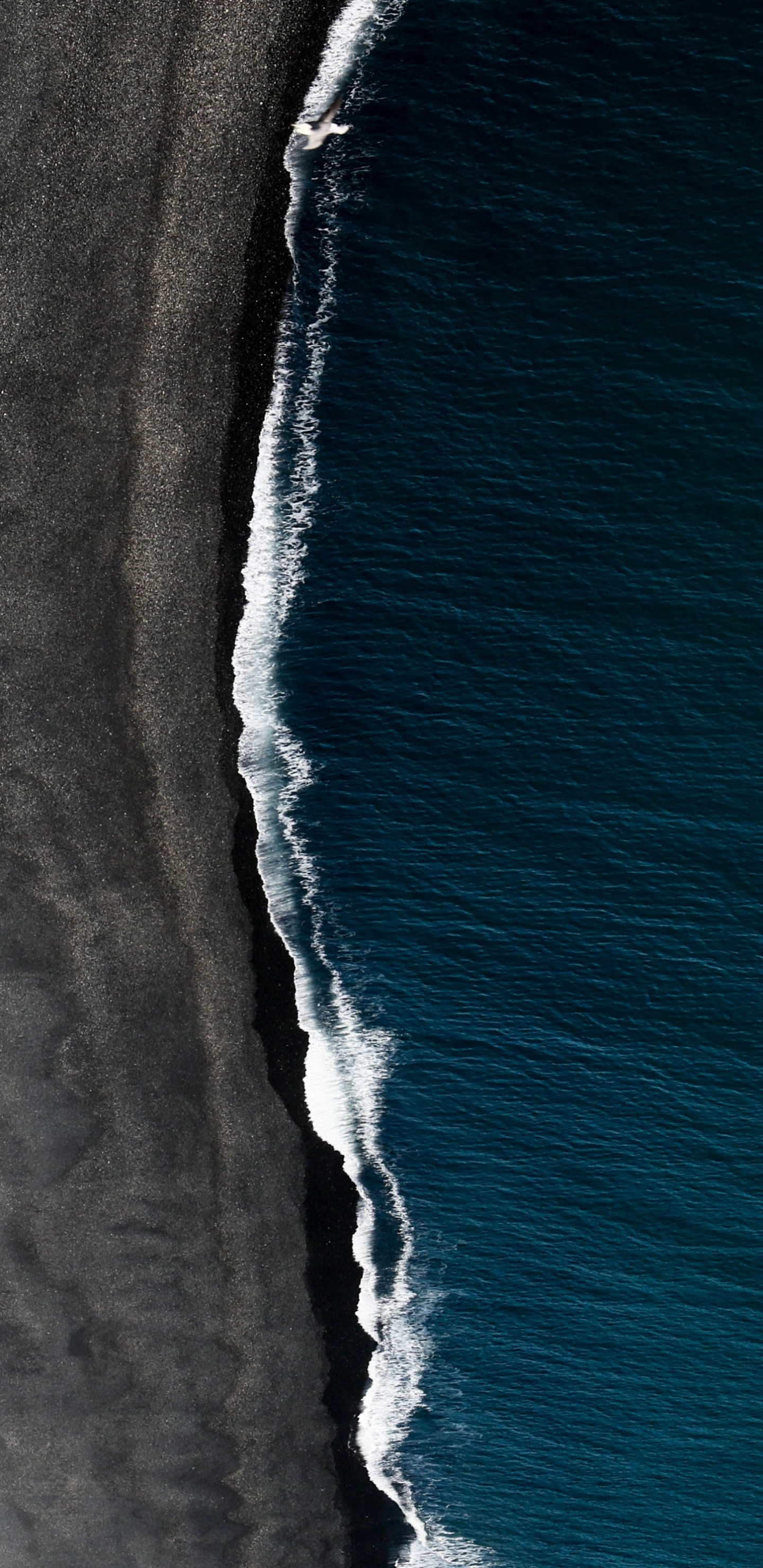 Playa de Arena Negra Vik, Arena Negro, Playa, Arena, Naturaleza. Wallpaper in 1440x2960 Resolution
