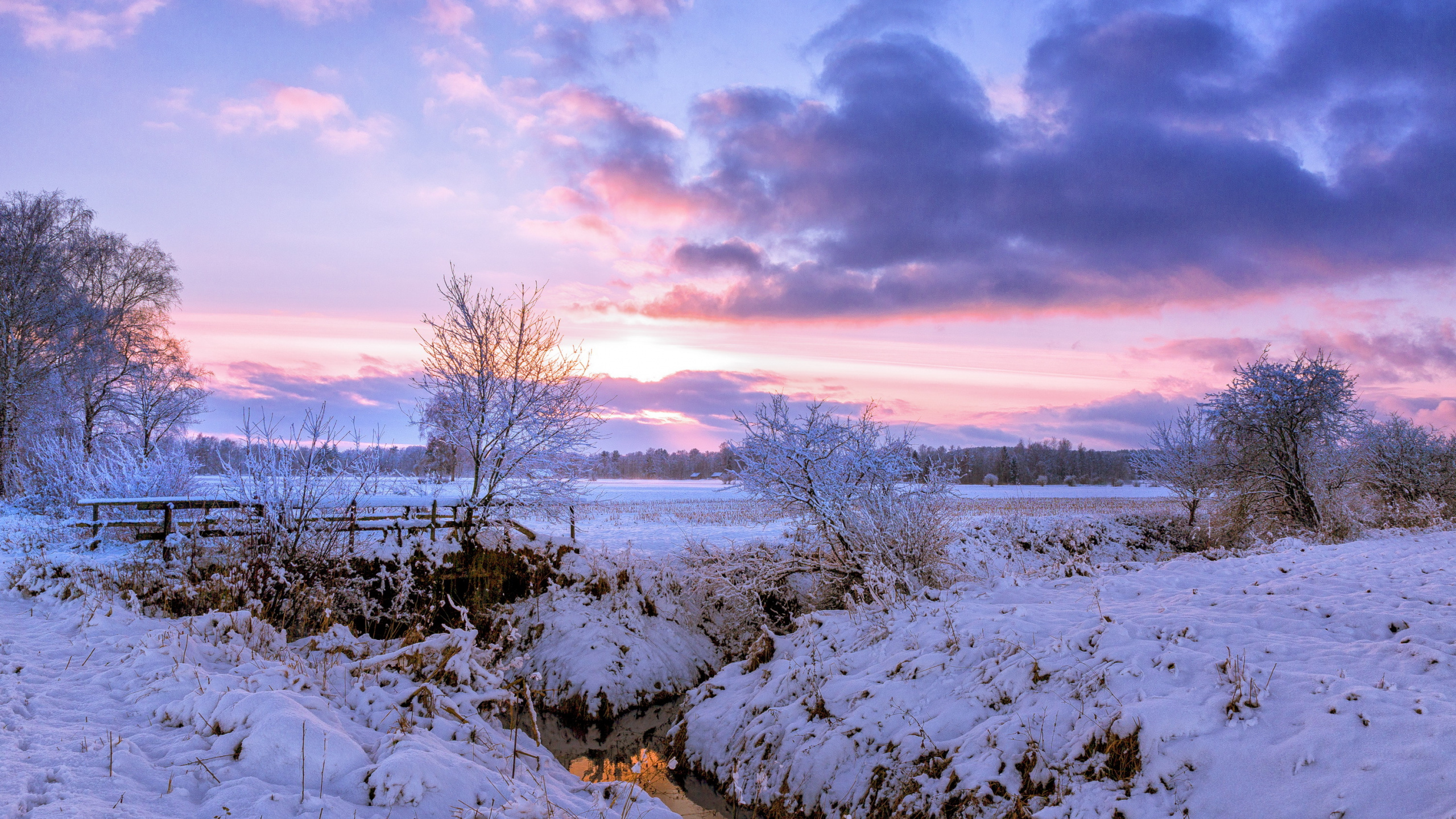 Snow Covered Field Under Cloudy Sky During Daytime. Wallpaper in 2560x1440 Resolution