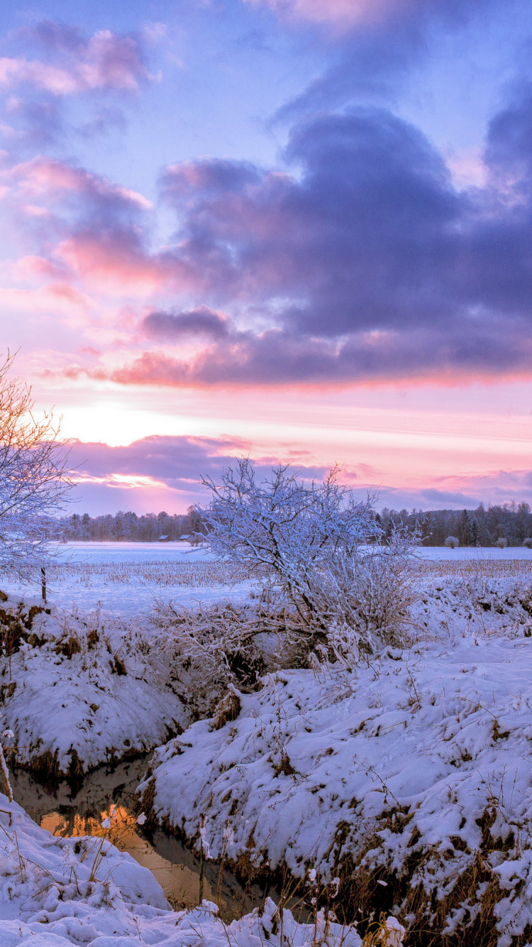 Snow Covered Field Under Cloudy Sky During Daytime. Wallpaper in 750x1334 Resolution