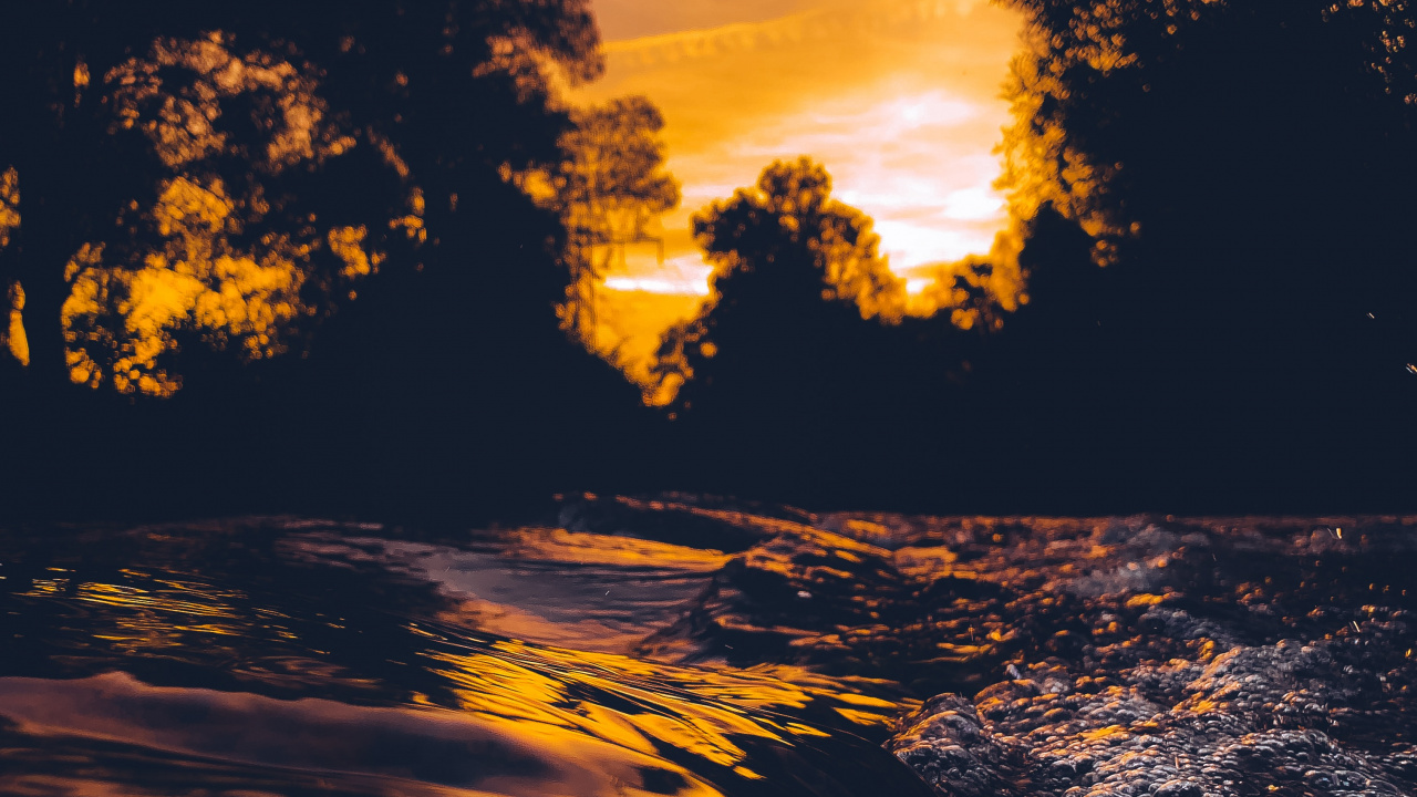 Silhouette of Trees During Sunset. Wallpaper in 1280x720 Resolution