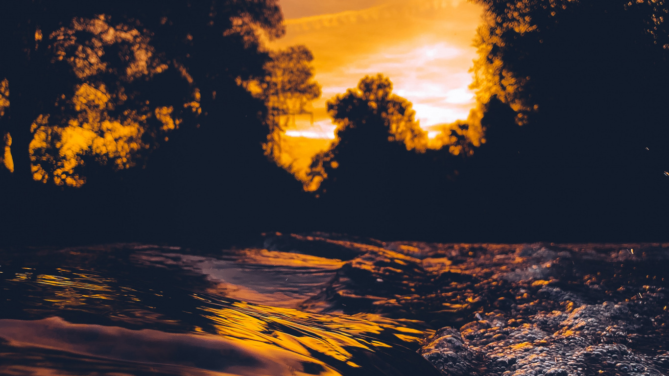 Silhouette of Trees During Sunset. Wallpaper in 1366x768 Resolution