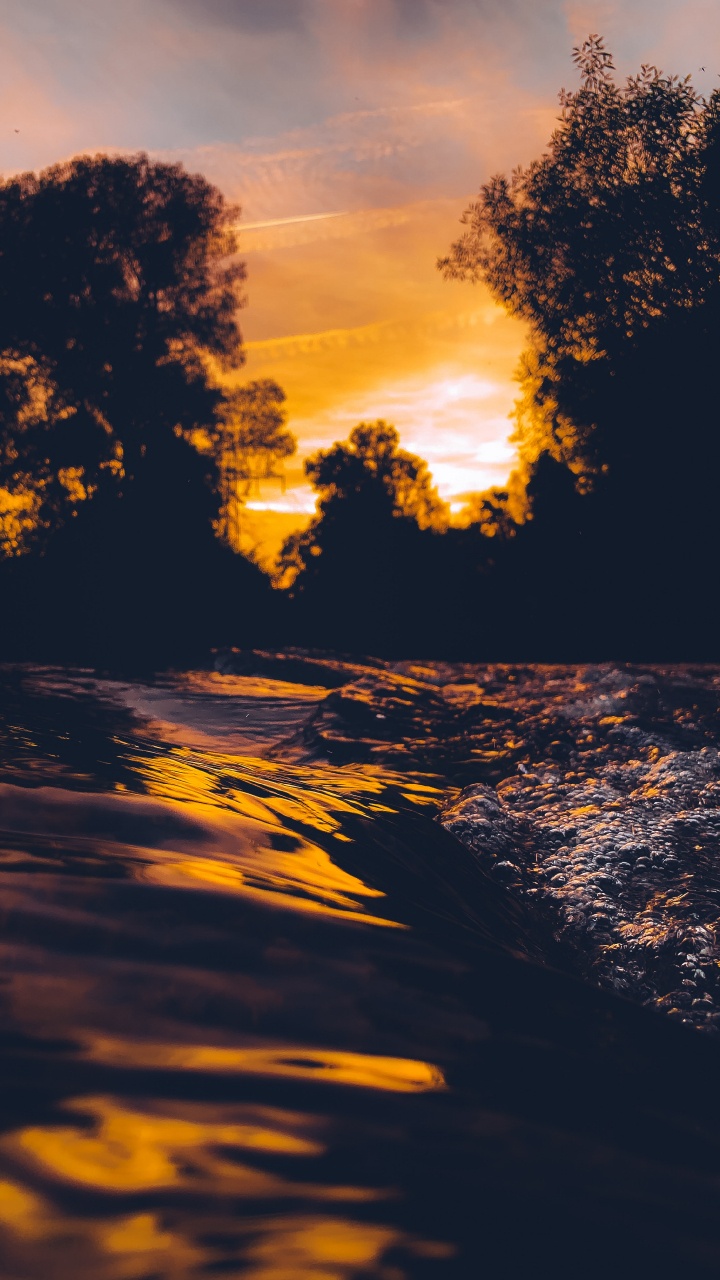 Silhouette of Trees During Sunset. Wallpaper in 720x1280 Resolution