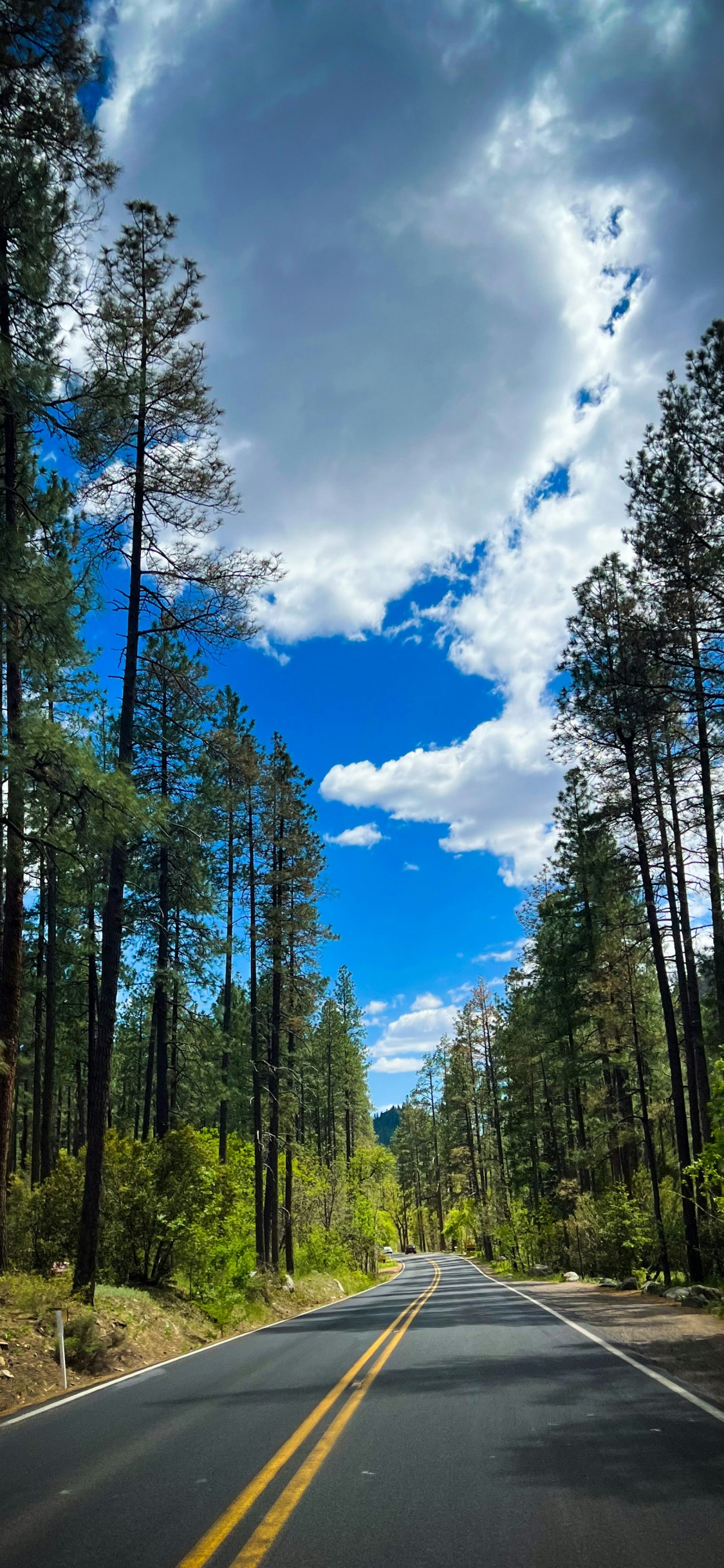 Autobahn, Road, Frei, Philadelphia Freeway, Roc Nation. Wallpaper in 1125x2436 Resolution