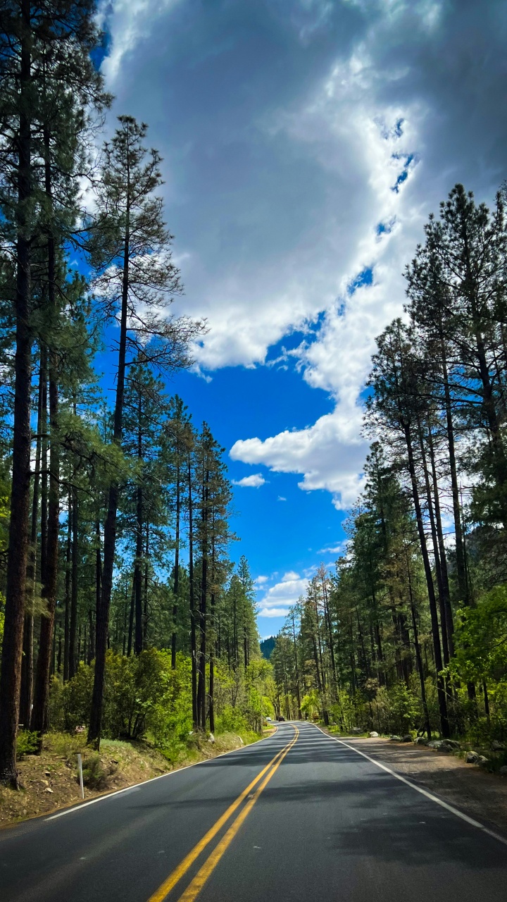 Autobahn, Road, Frei, Philadelphia Freeway, Roc Nation. Wallpaper in 720x1280 Resolution