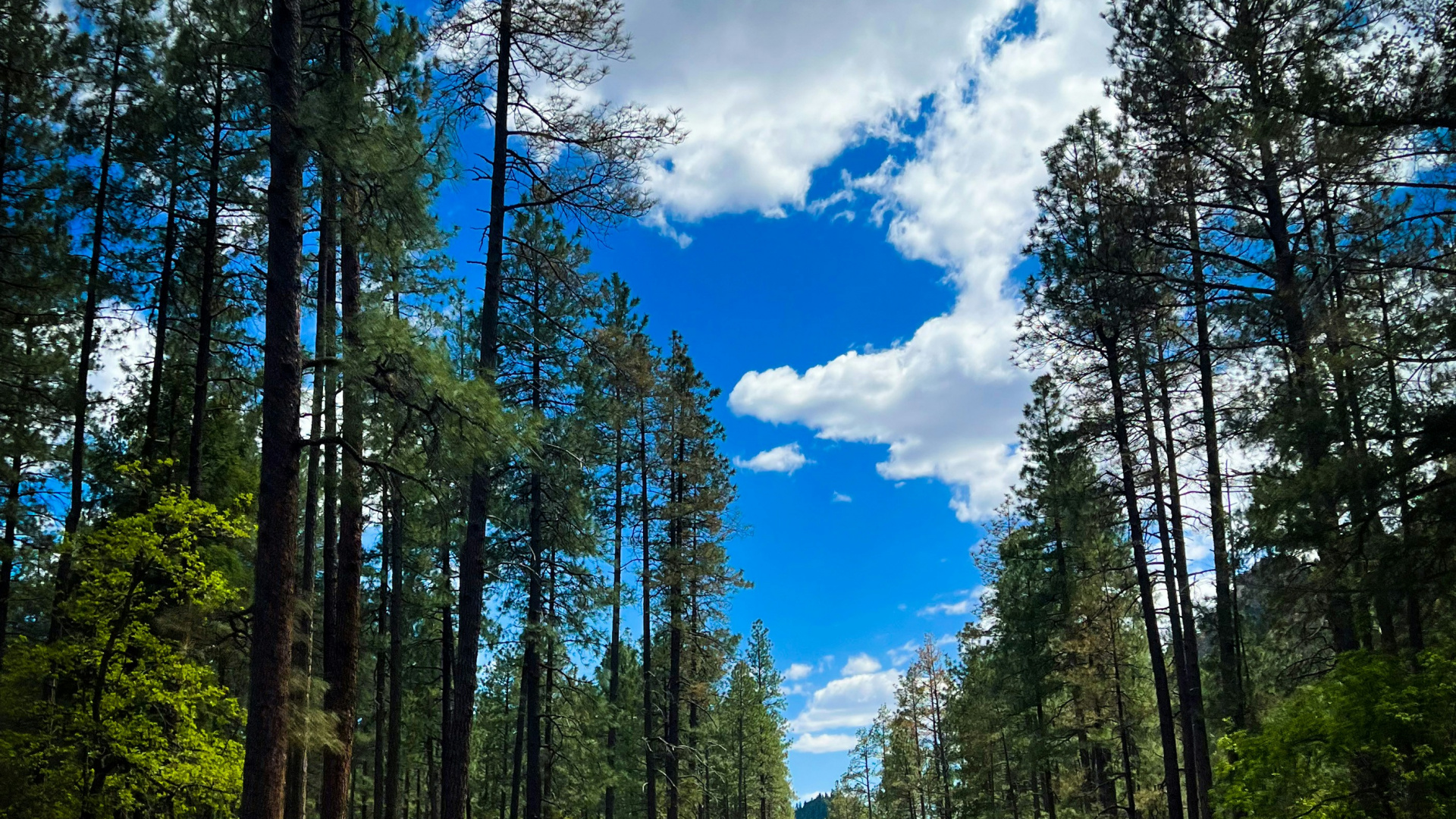 Autopista, Carretera, Autopista de Filadelfia, Nación Roc, Piensa Libre. Wallpaper in 1920x1080 Resolution