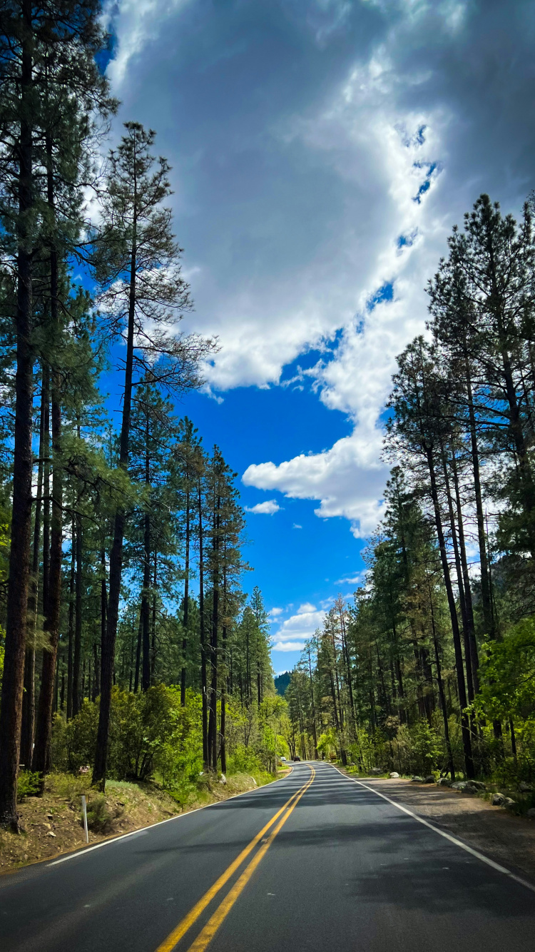 Freeway, Road, Free, Philadelphia Freeway, Roc Nation. Wallpaper in 750x1334 Resolution