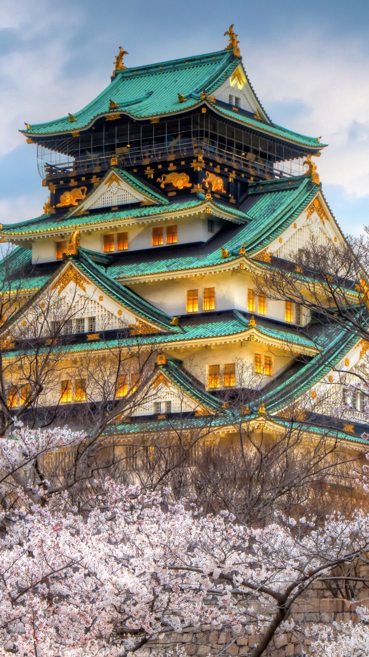 Castillo Japonés, El Castillo De Osaka, El Castillo De Himeji, Castillo, Pagoda. Wallpaper in 720x1280 Resolution