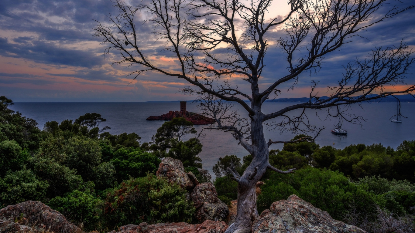 植物群, 自然景观, 木, 高地 壁纸 1366x768 允许