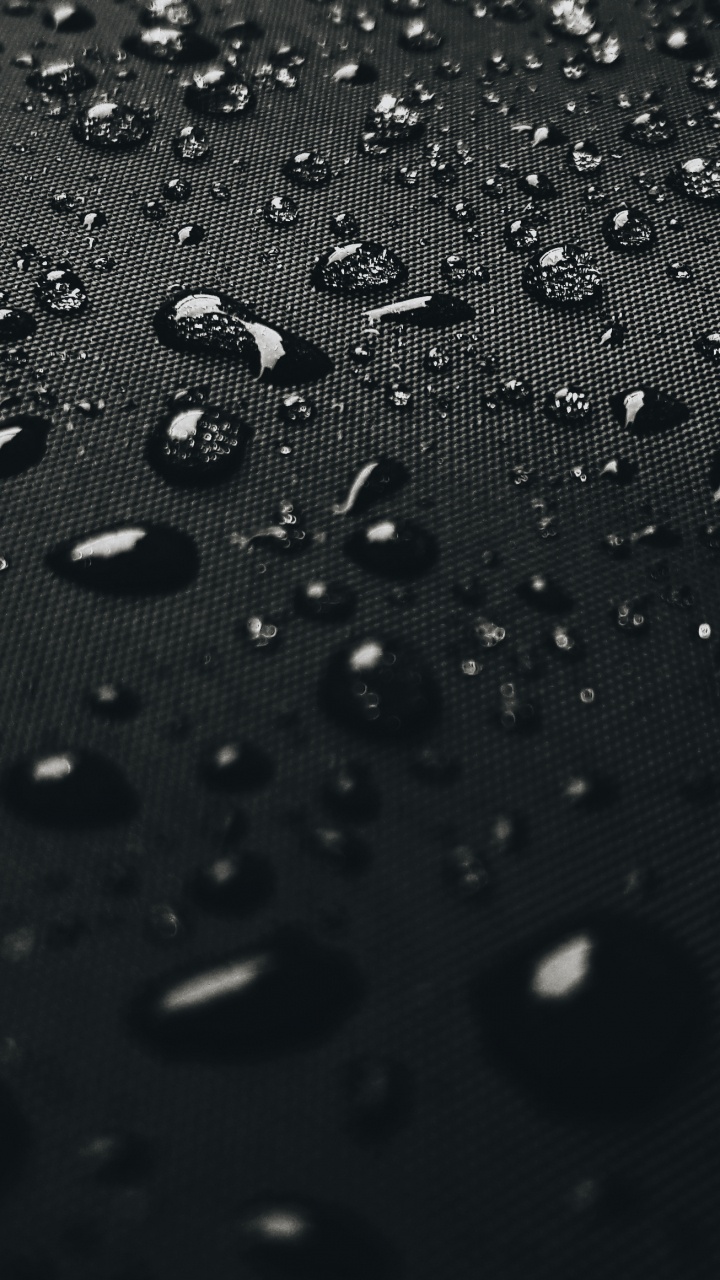 黑色的, 放下, 湿气, 小雨, 降水 壁纸 720x1280 允许
