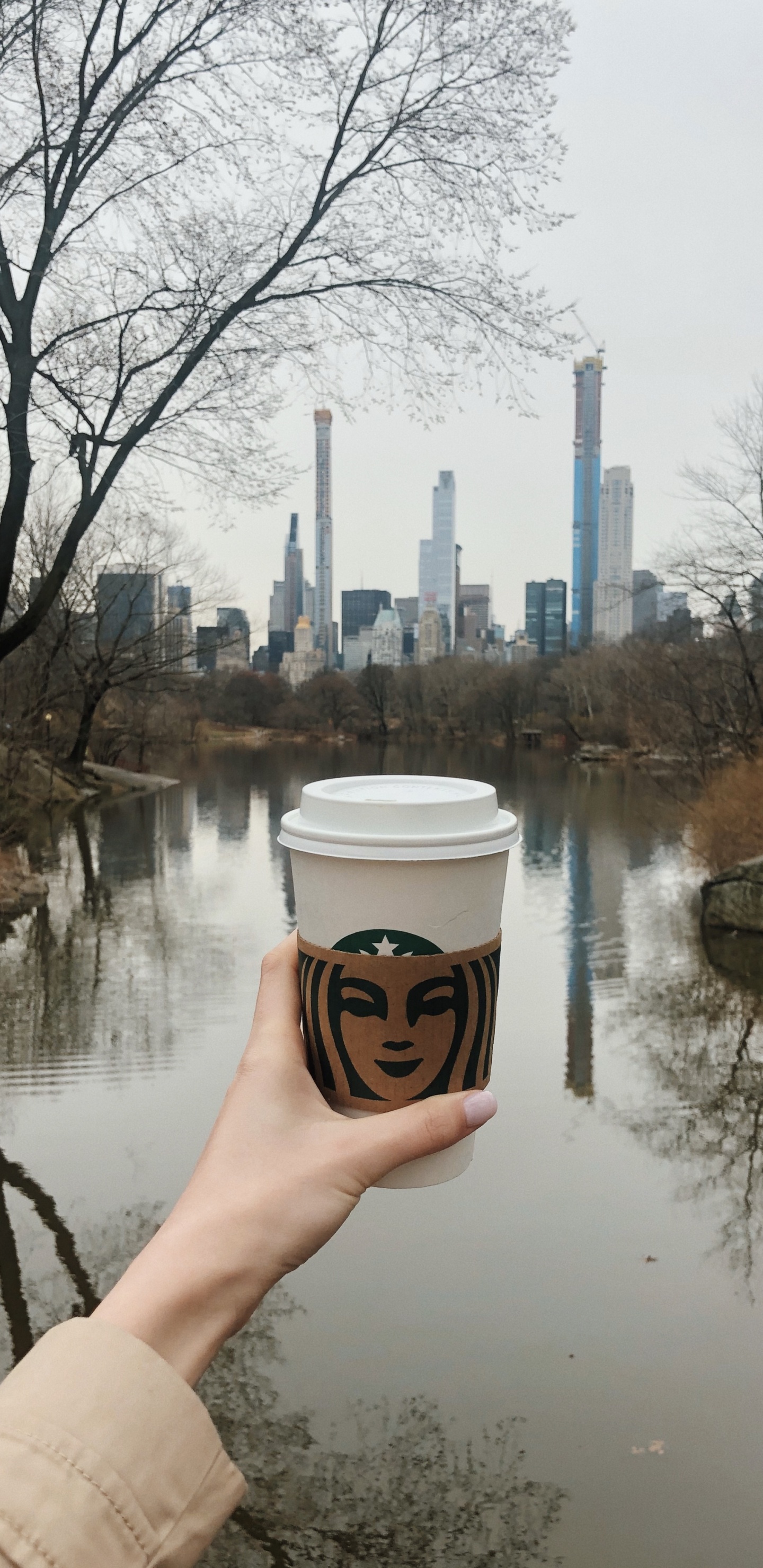 Person Mit Weißem Und Braunem Einwegbecher. Wallpaper in 1440x2960 Resolution