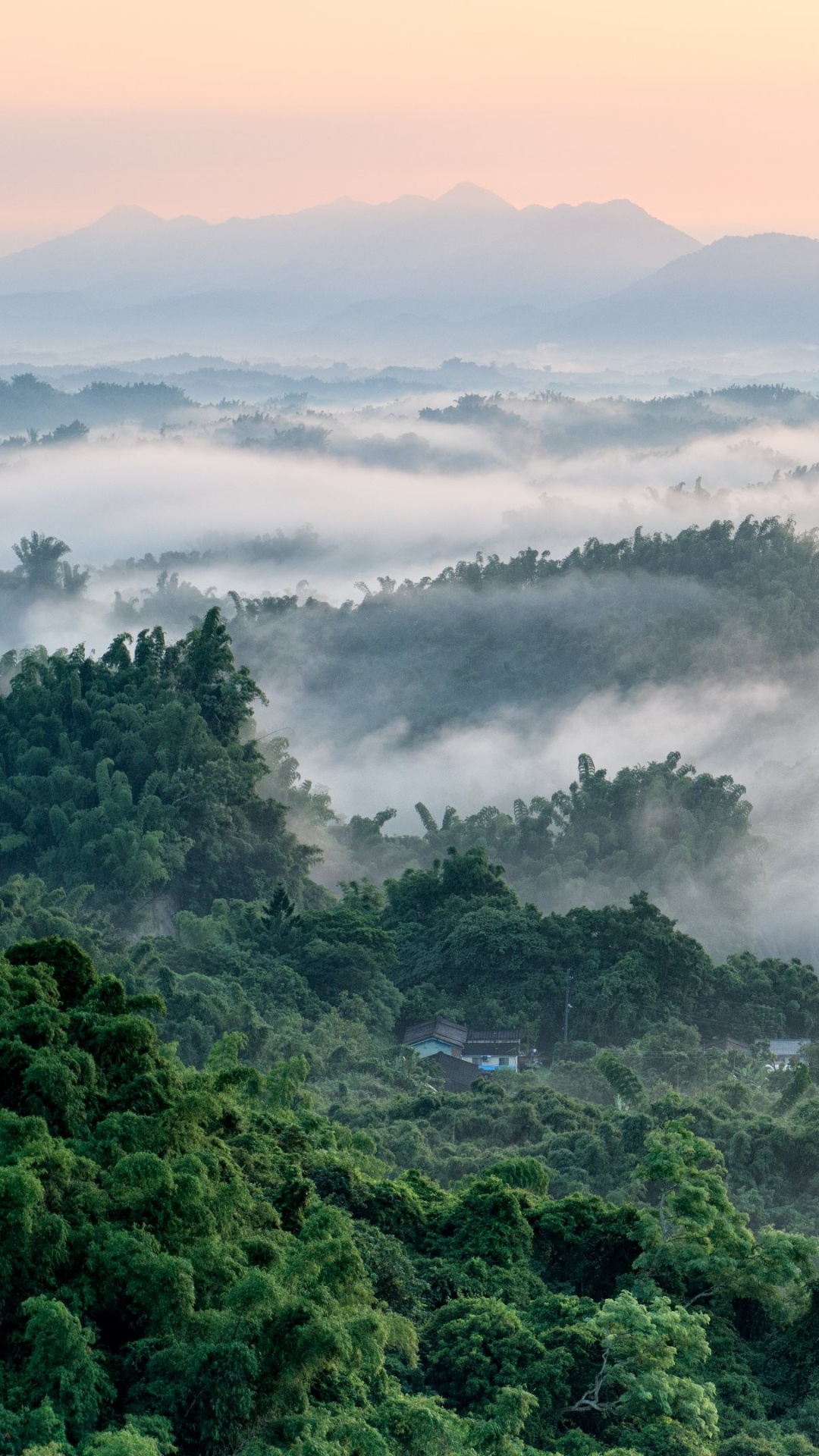 Árboles Verdes en la Montaña Durante el Día. Wallpaper in 1080x1920 Resolution