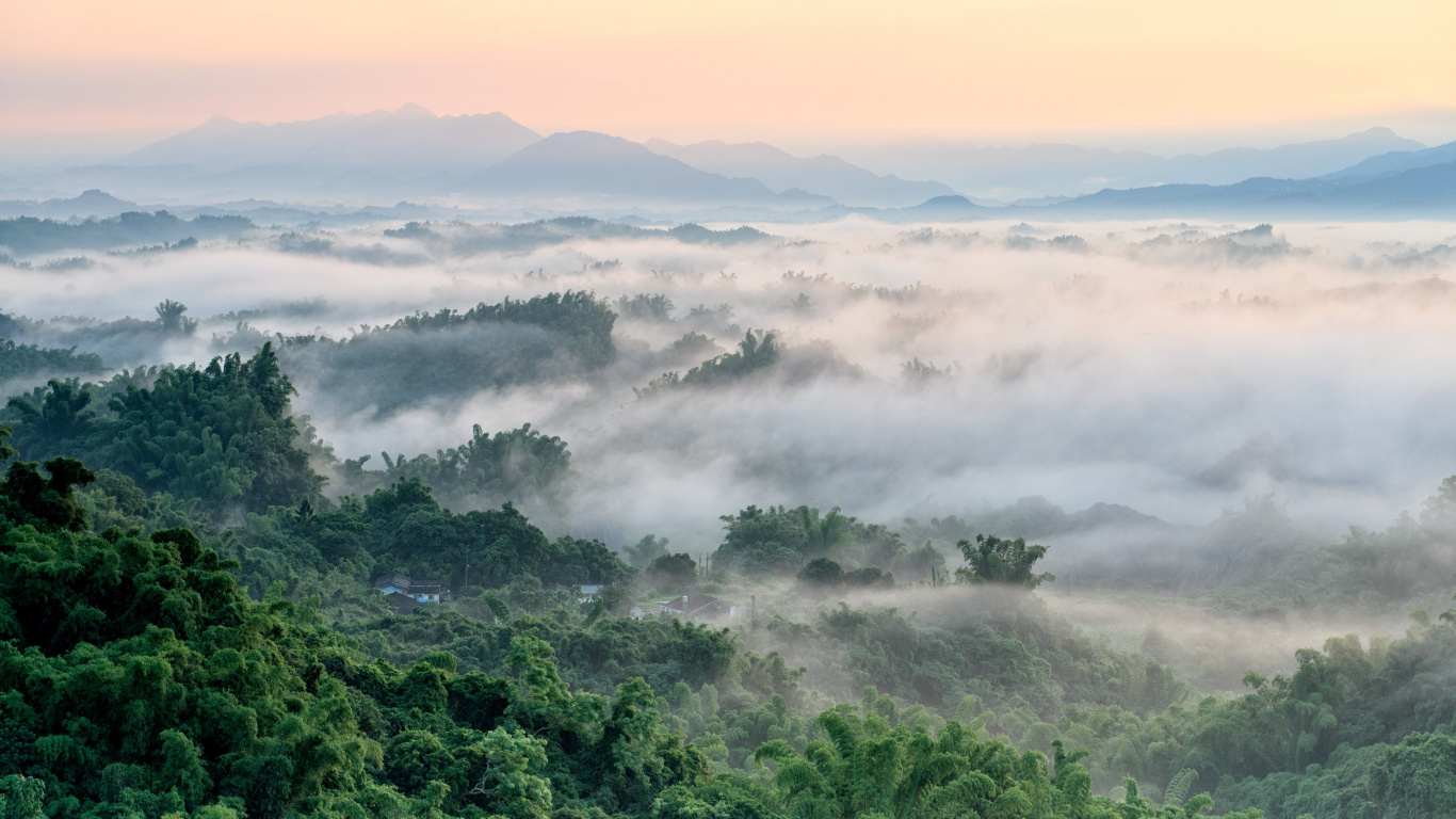 Green Trees on Mountain During Daytime. Wallpaper in 1366x768 Resolution
