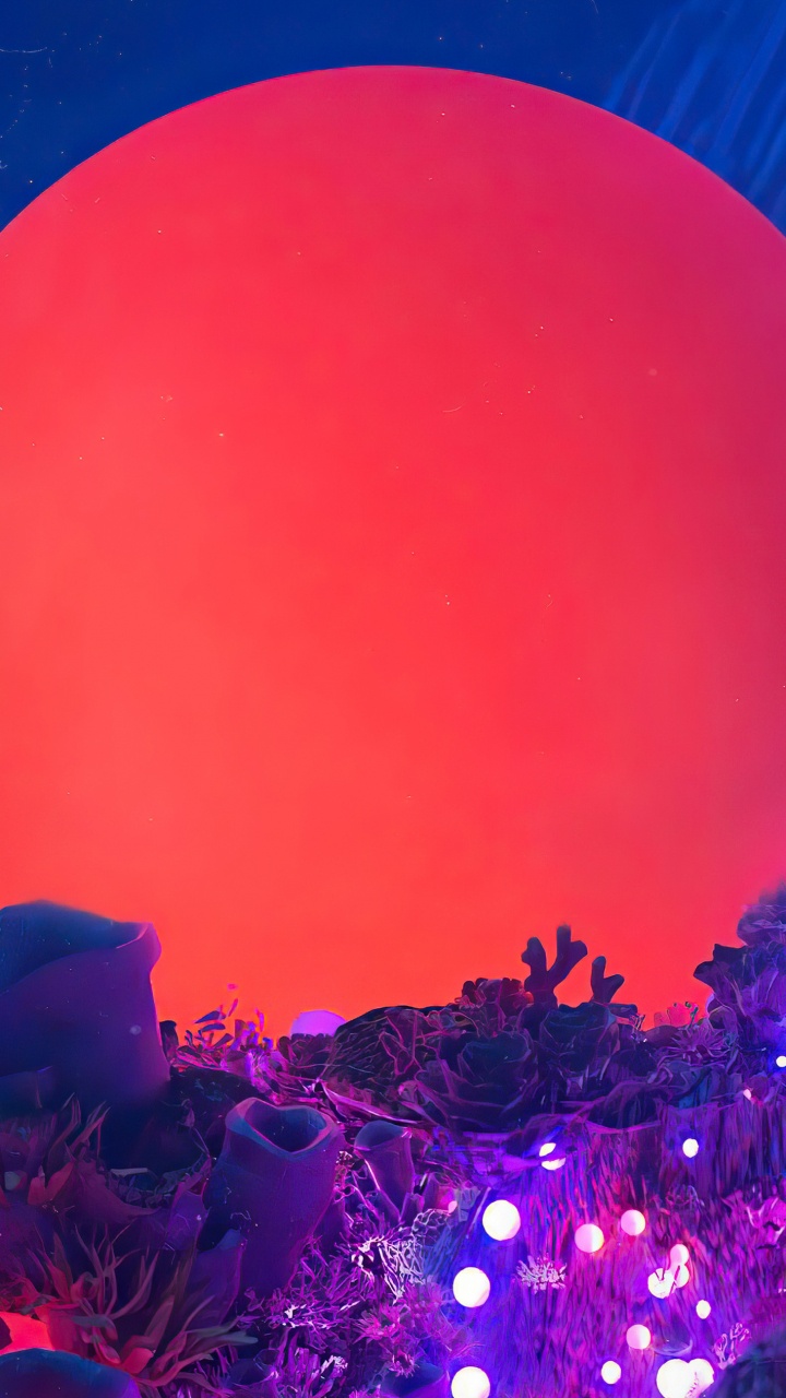 Licht, Design, Rotes Papierherz, Firmenzeichen, Zwei Tausend Neunzehn. Wallpaper in 720x1280 Resolution