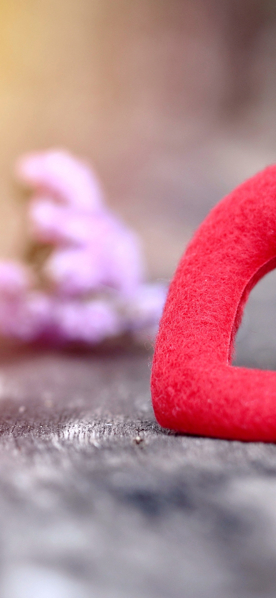 Liebe, Valentines Tag, Grafik-design, Tag, Blütenblatt. Wallpaper in 1125x2436 Resolution