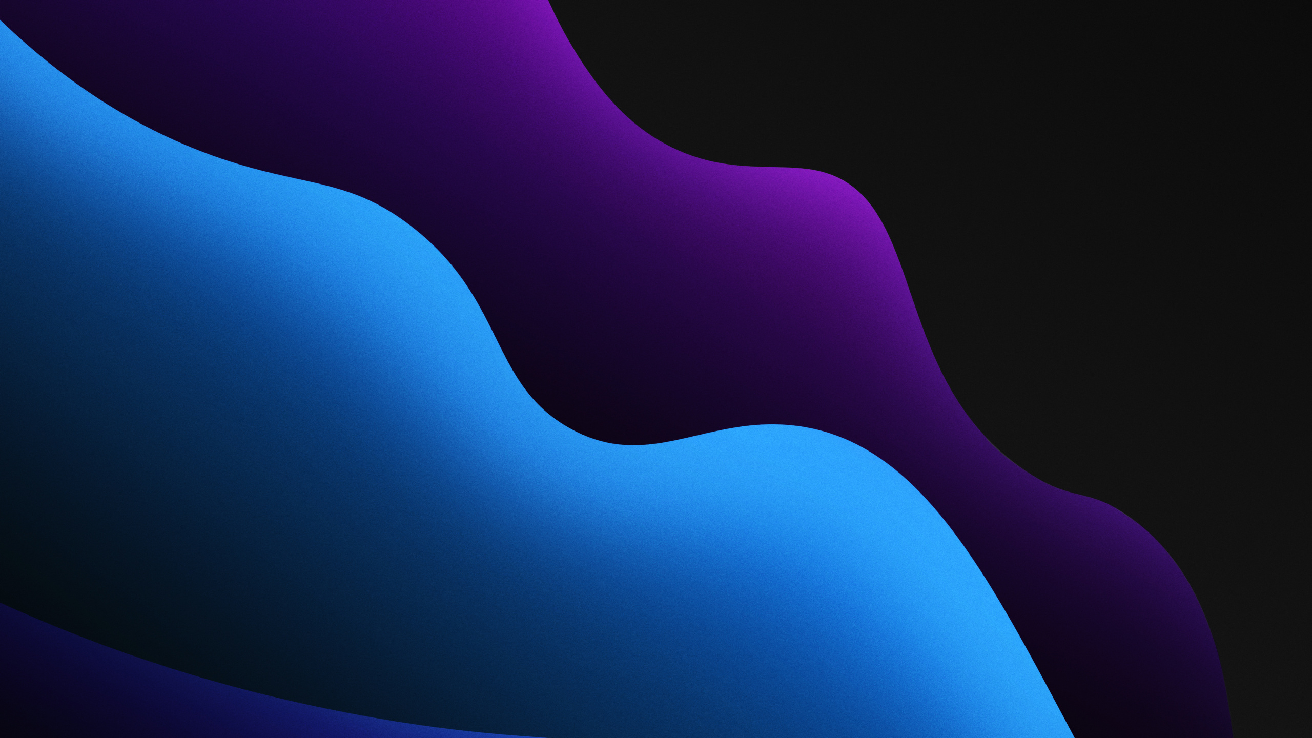 Amoled, Luz, Violeta, Morado, Magenta. Wallpaper in 2560x1440 Resolution
