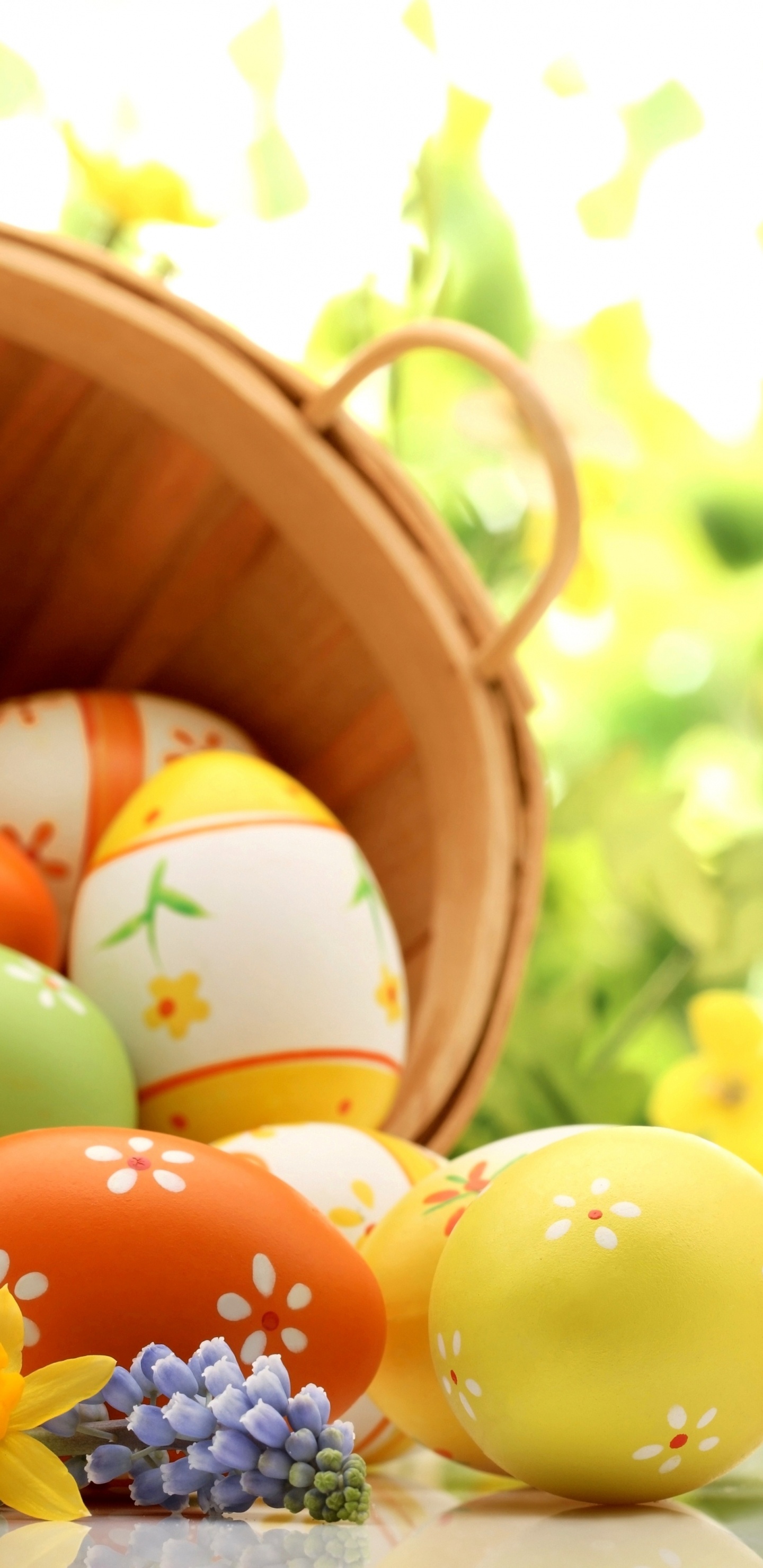 Osterhase, Osterei, Osternest, Ostern, Gras. Wallpaper in 1440x2960 Resolution