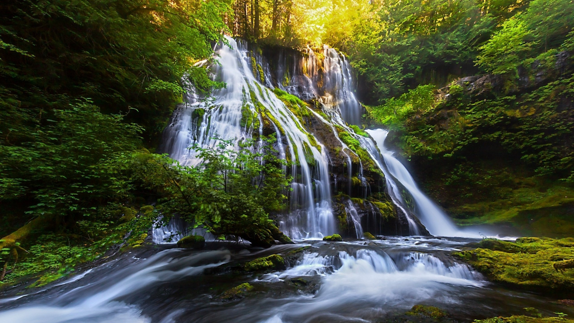 L'eau Tombe au Milieu Des Arbres Verts. Wallpaper in 1920x1080 Resolution