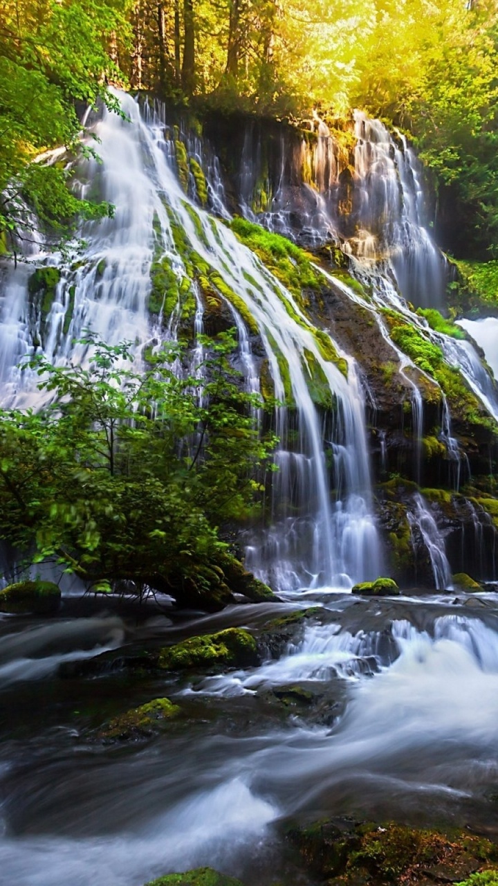 L'eau Tombe au Milieu Des Arbres Verts. Wallpaper in 720x1280 Resolution