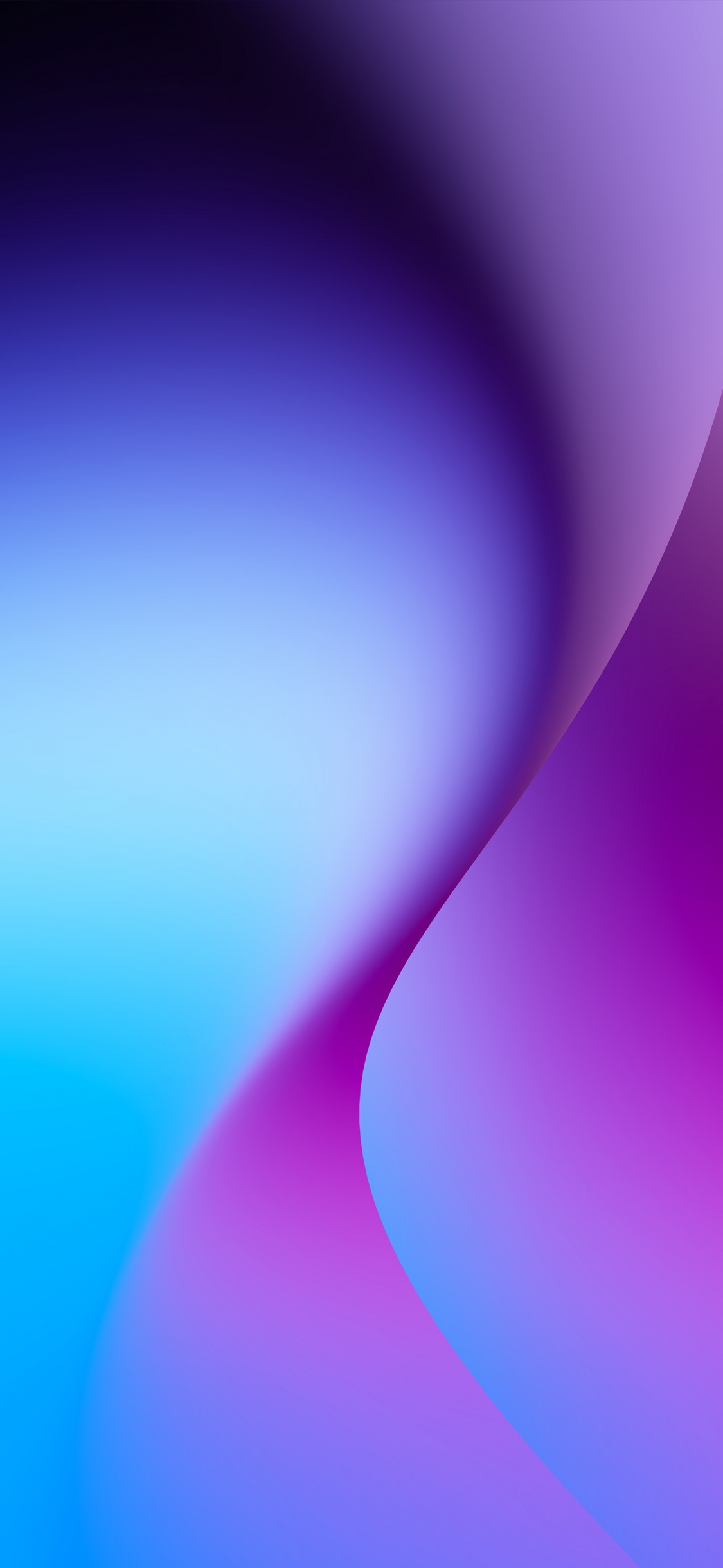 Close Up, Colorfulness, Purple, Violet, Tints and Shades. Wallpaper in 1125x2436 Resolution
