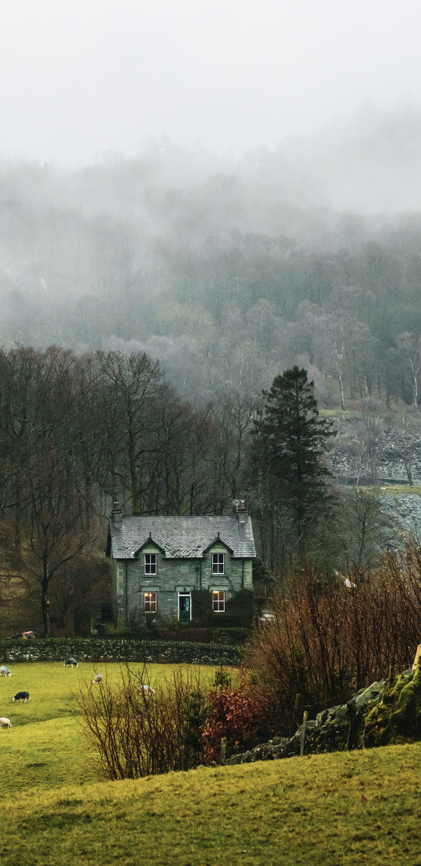 Paysage Naturel, Zone Rurale, Maison, Smartphone, Hiver. Wallpaper in 1440x2960 Resolution