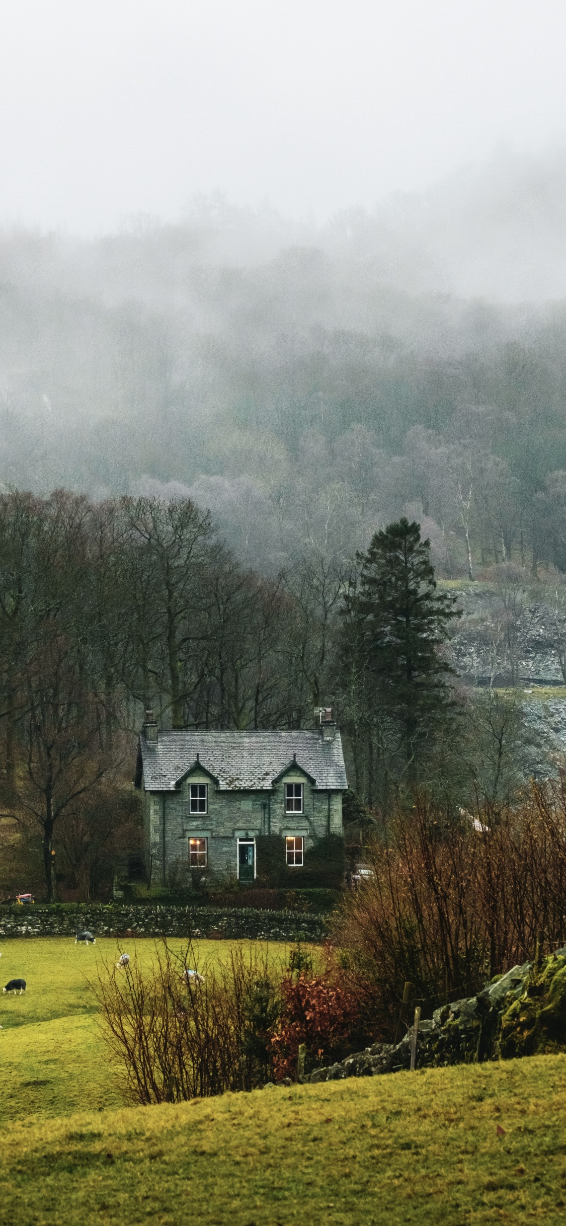 Paisaje Natural, Zona Rural, Smartphone, Invierno, Ambiente. Wallpaper in 1125x2436 Resolution