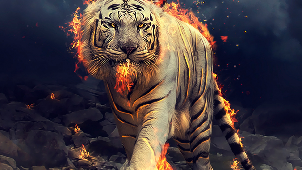 Bengal Tiger, White Tiger, Felidae, Siberian Tiger, Big Cat. Wallpaper in 1280x720 Resolution