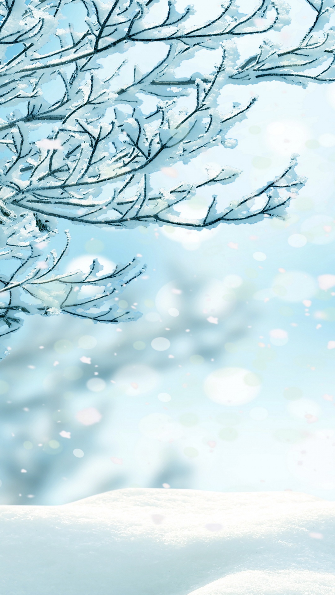 Arbre Sans Feuilles Avec Des Gouttelettes D'eau. Wallpaper in 1080x1920 Resolution