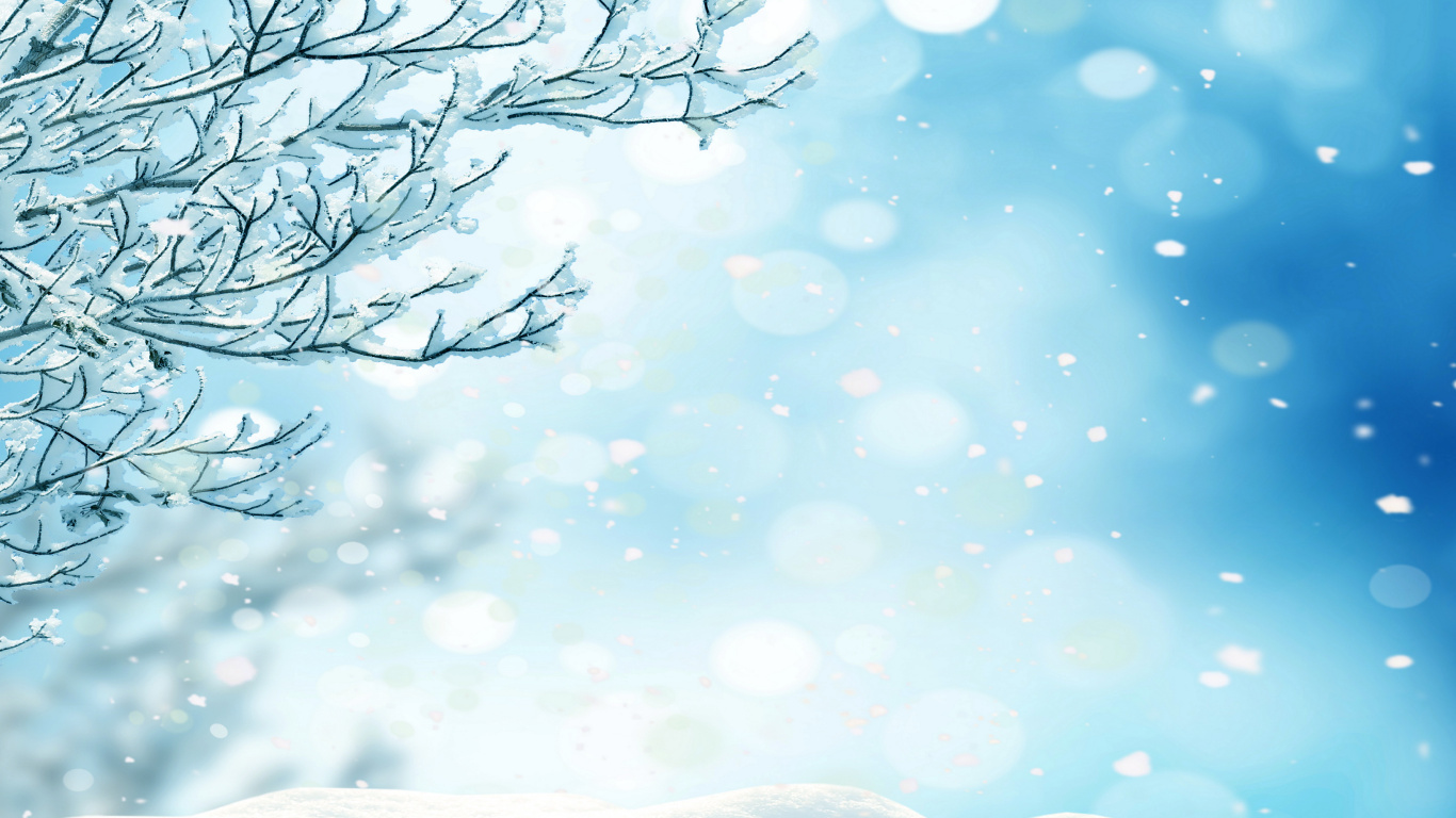 Arbre Sans Feuilles Avec Des Gouttelettes D'eau. Wallpaper in 1366x768 Resolution