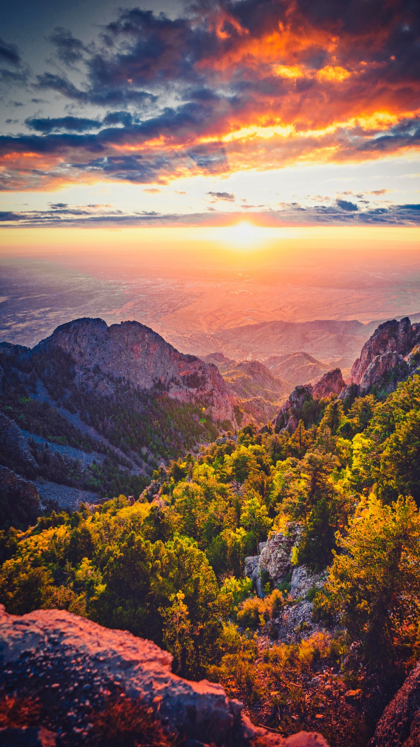 Montagne Rocheuse, Montagnes Rocheuses, Mont Cadillac, Nature, Gamme de Montagne. Wallpaper in 1440x2560 Resolution