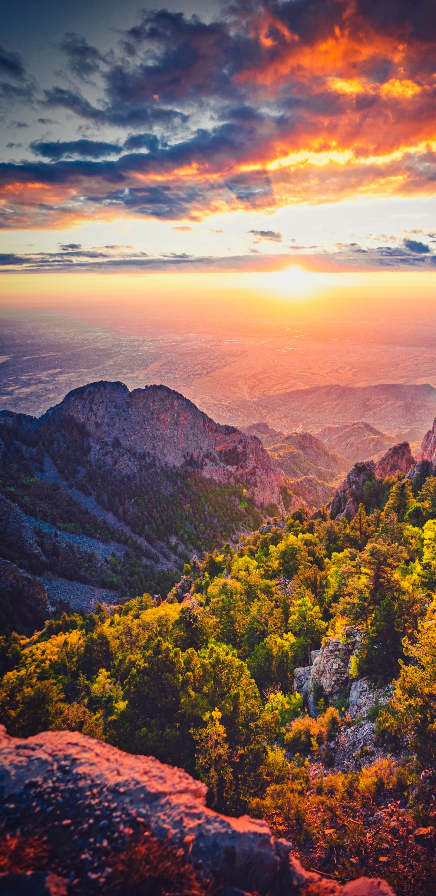 Montagne Rocheuse, Montagnes Rocheuses, Mont Cadillac, Nature, Gamme de Montagne. Wallpaper in 1440x2960 Resolution