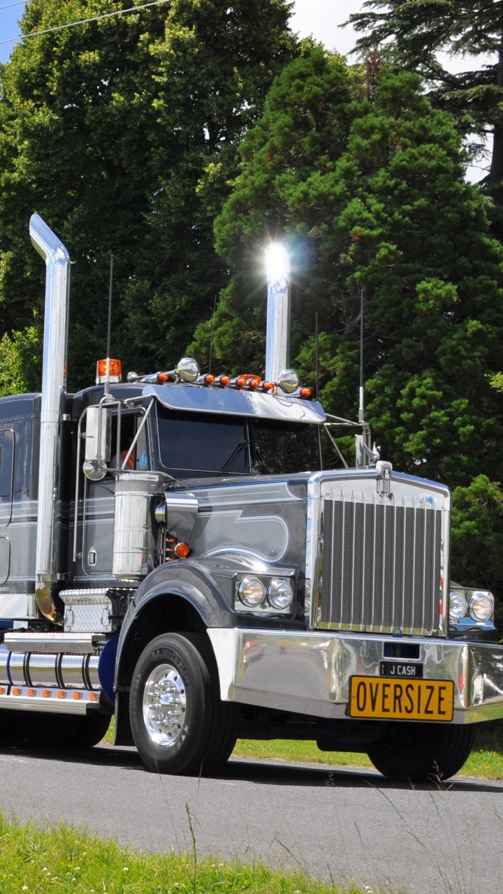 White and Blue Freight Truck on Green Grass Field During Daytime. Wallpaper in 720x1280 Resolution