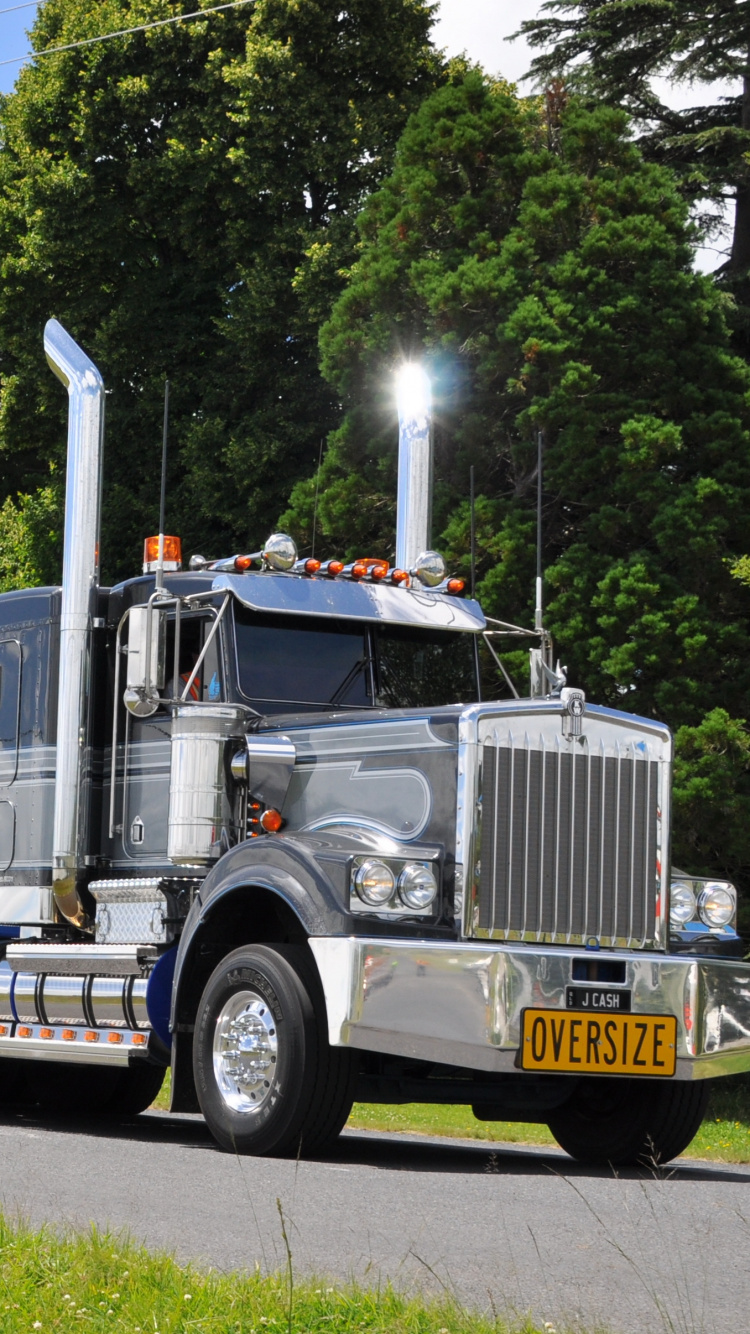 White and Blue Freight Truck on Green Grass Field During Daytime. Wallpaper in 750x1334 Resolution