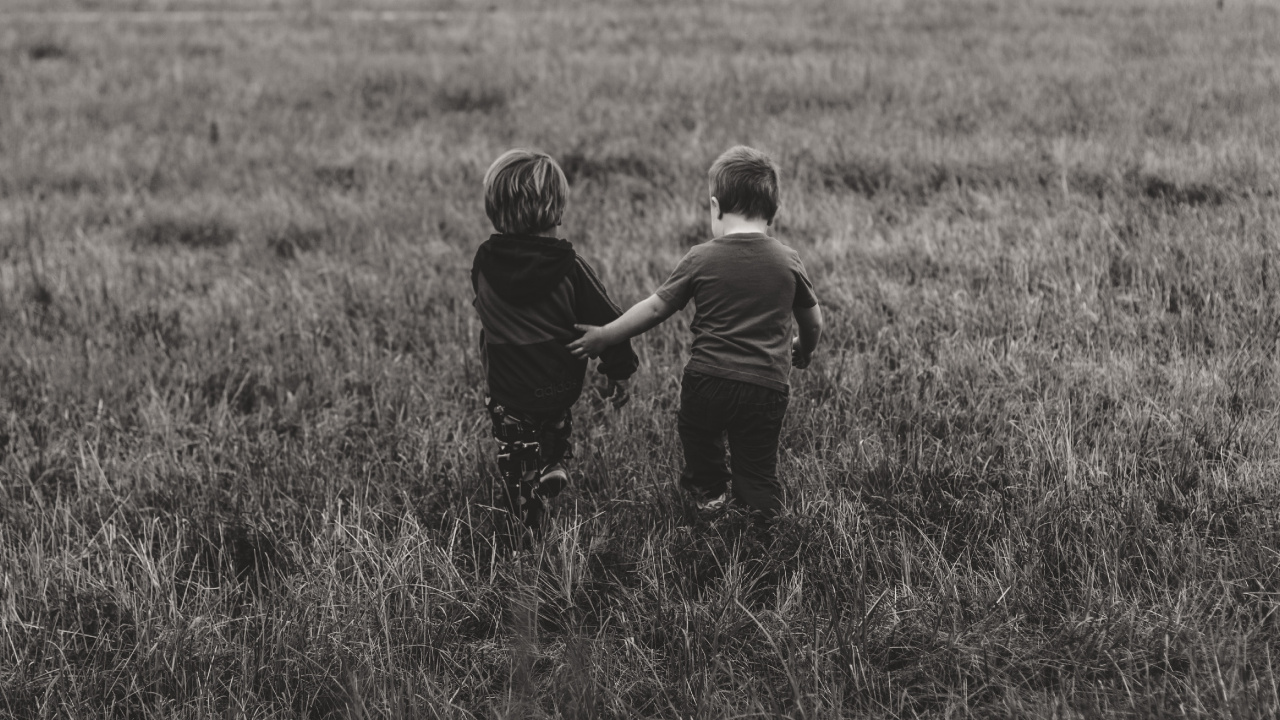 Grassland, Grass, Black, Grazing, Child. Wallpaper in 1280x720 Resolution