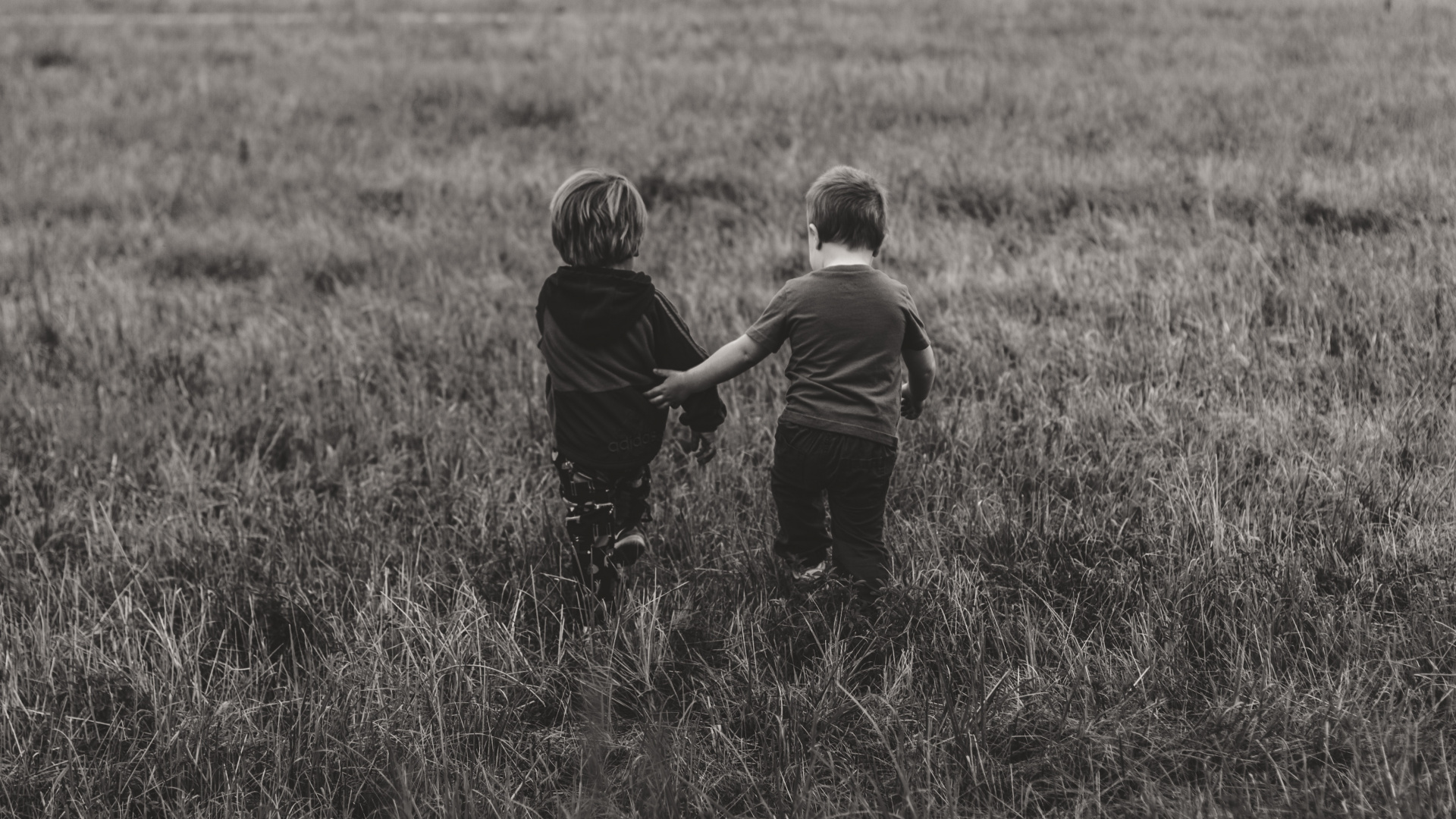 Grassland, Grass, Black, Grazing, Child. Wallpaper in 1920x1080 Resolution