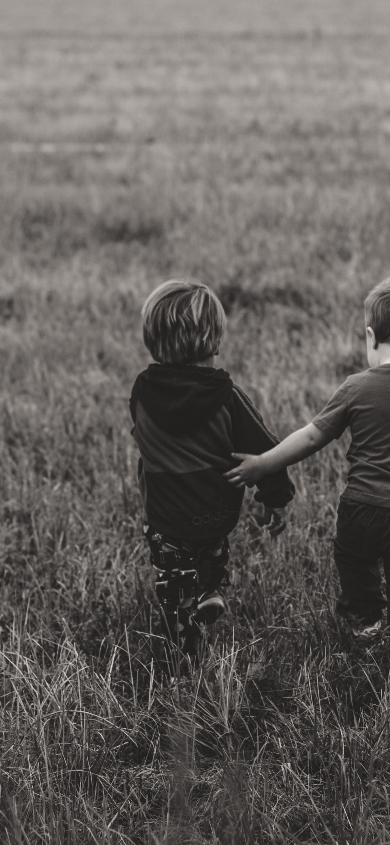 草, 黑色的, 放牧, 儿童, 爱情 壁纸 1242x2688 允许