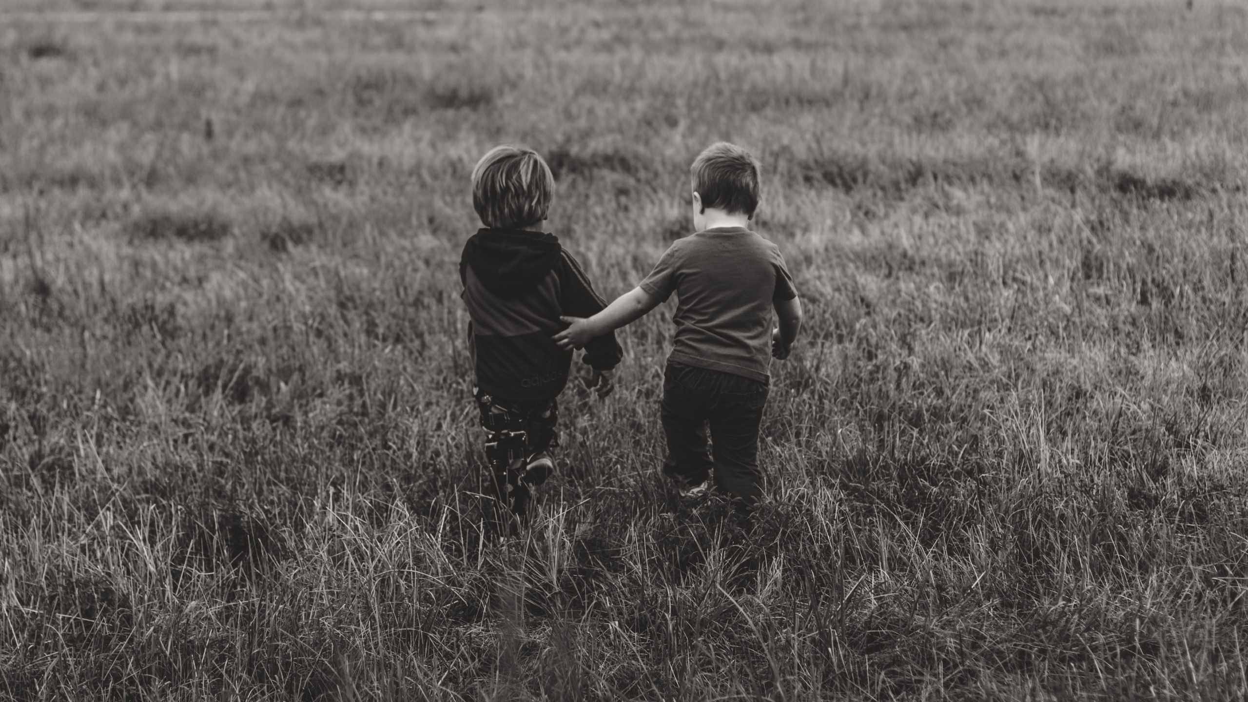 Prairie, Noir, le Pâturage, Enfant, L'homme. Wallpaper in 2560x1440 Resolution
