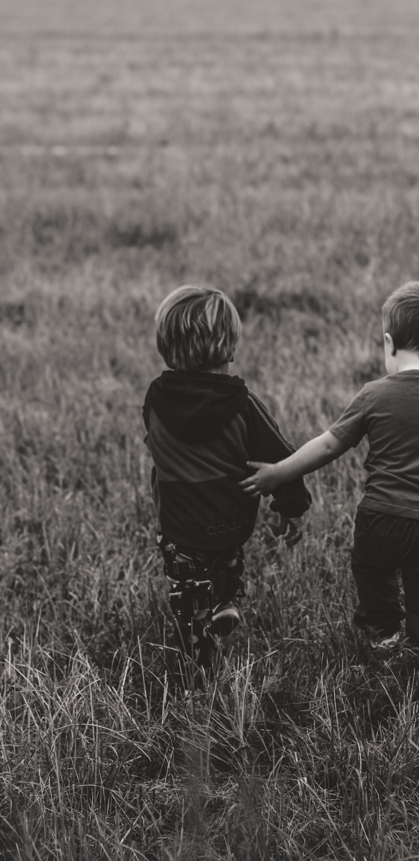 Grünland, Gras, Schwarz, Weiden, Kind. Wallpaper in 1440x2960 Resolution