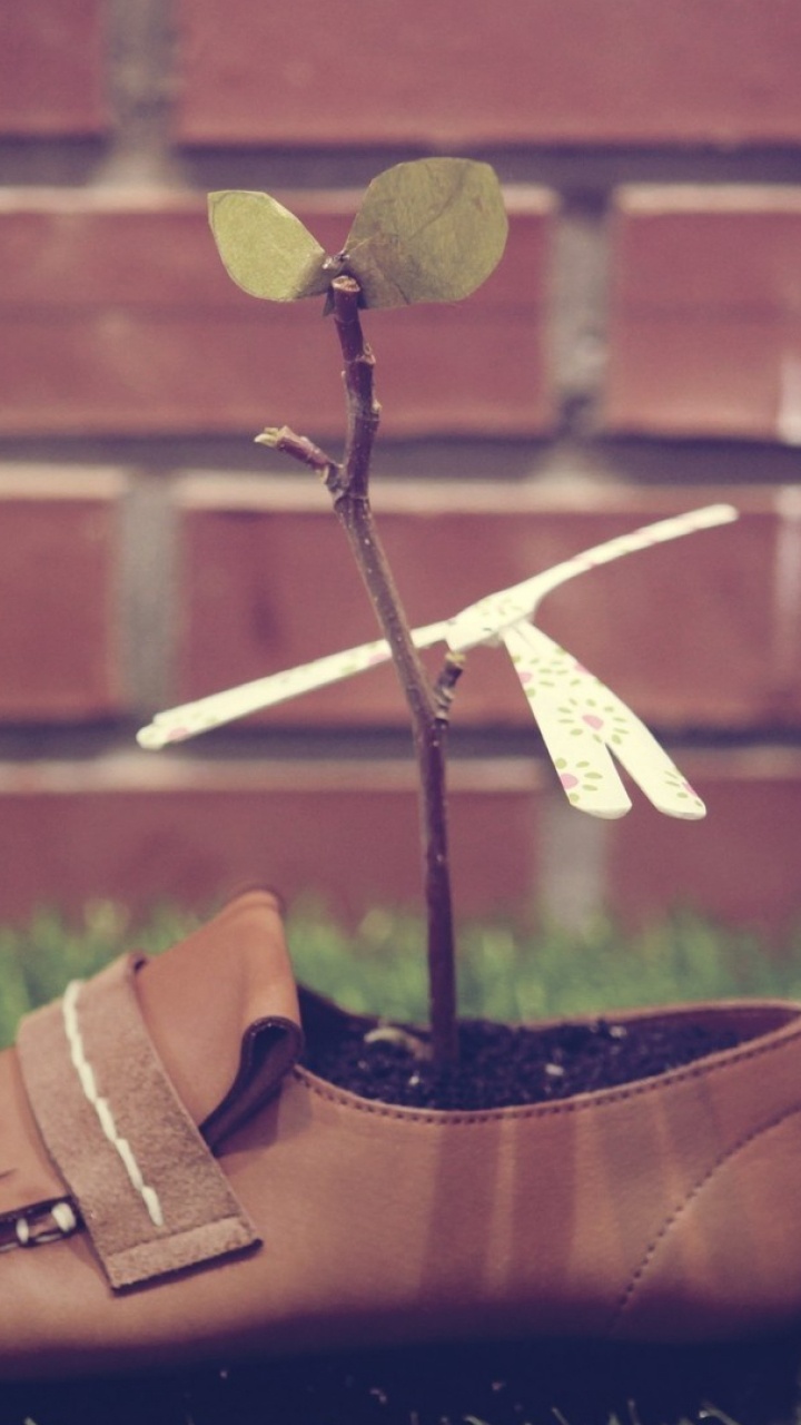 Braune Und Weiße Ledersandalen Mit Offener Zehenpartie. Wallpaper in 720x1280 Resolution