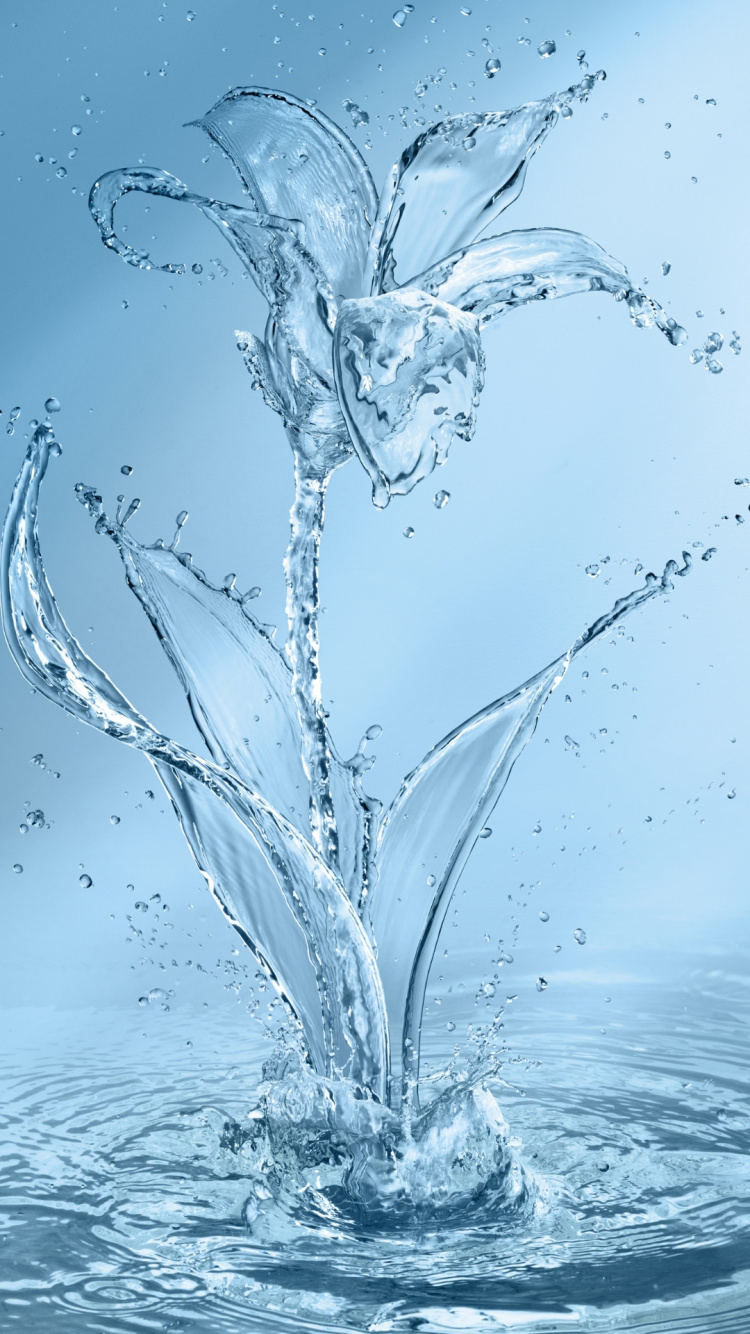 Water, Flower, Art, Fluid, Liquid. Wallpaper in 750x1334 Resolution