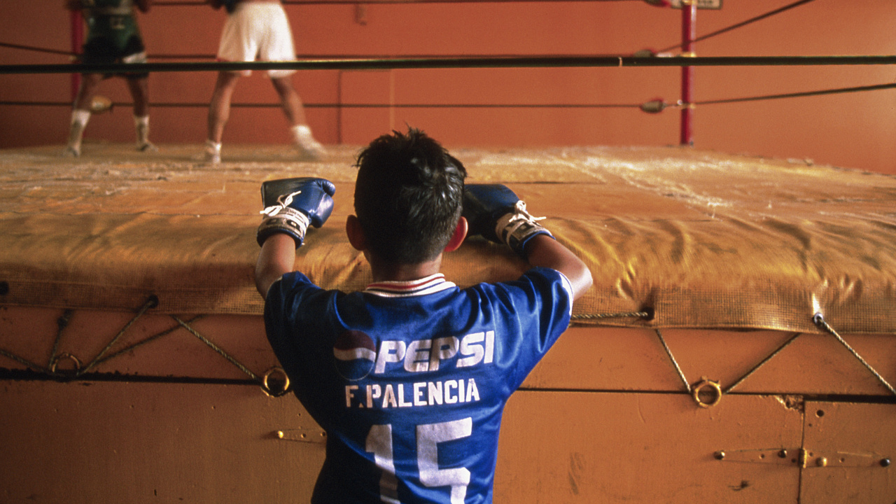 Hombre Con Camisa de Jersey Azul y Blanca Sosteniendo Una Cámara Negra. Wallpaper in 1280x720 Resolution