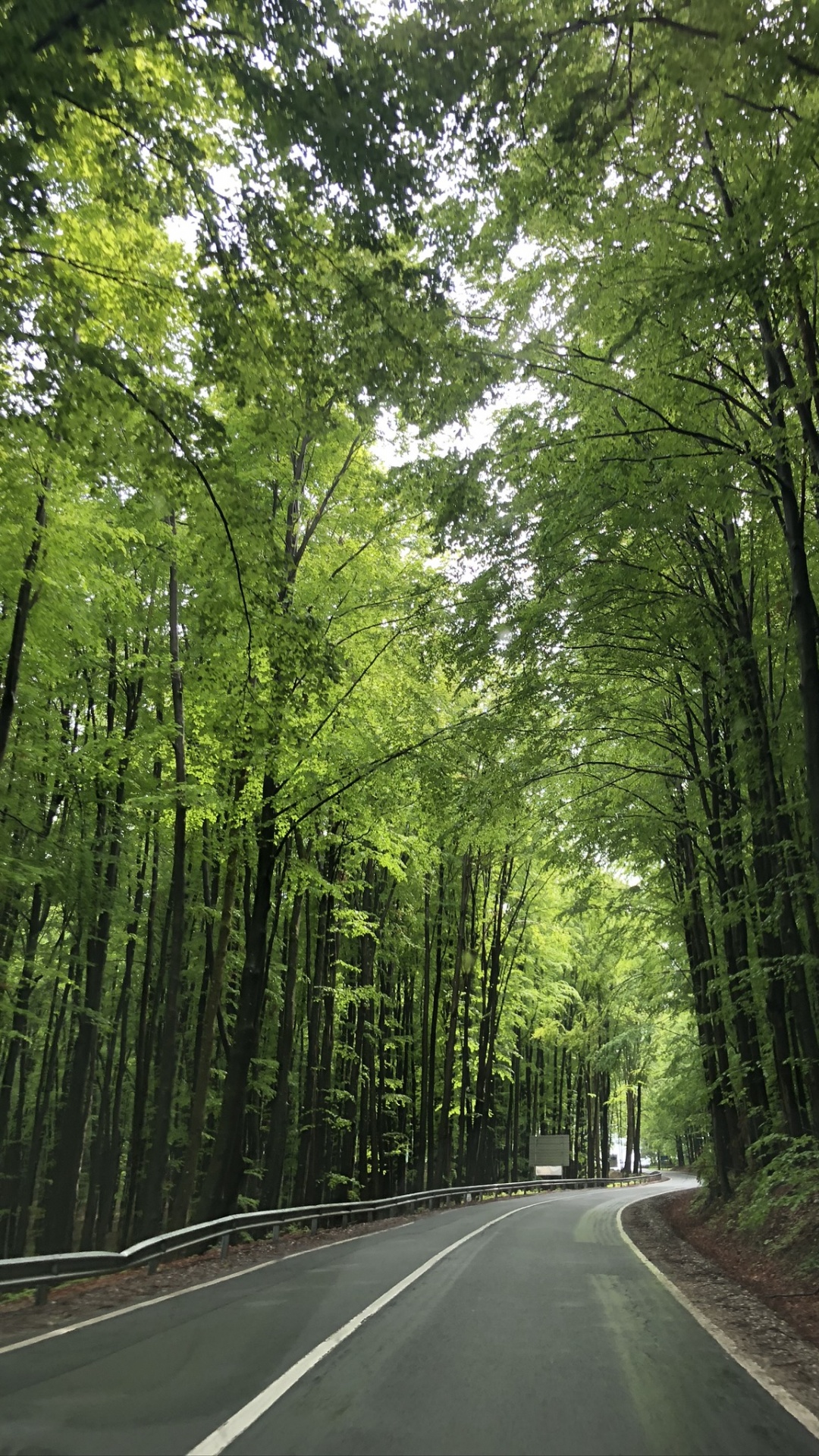 Nature, Road, Green, Natural Environment, Road Surface. Wallpaper in 1080x1920 Resolution