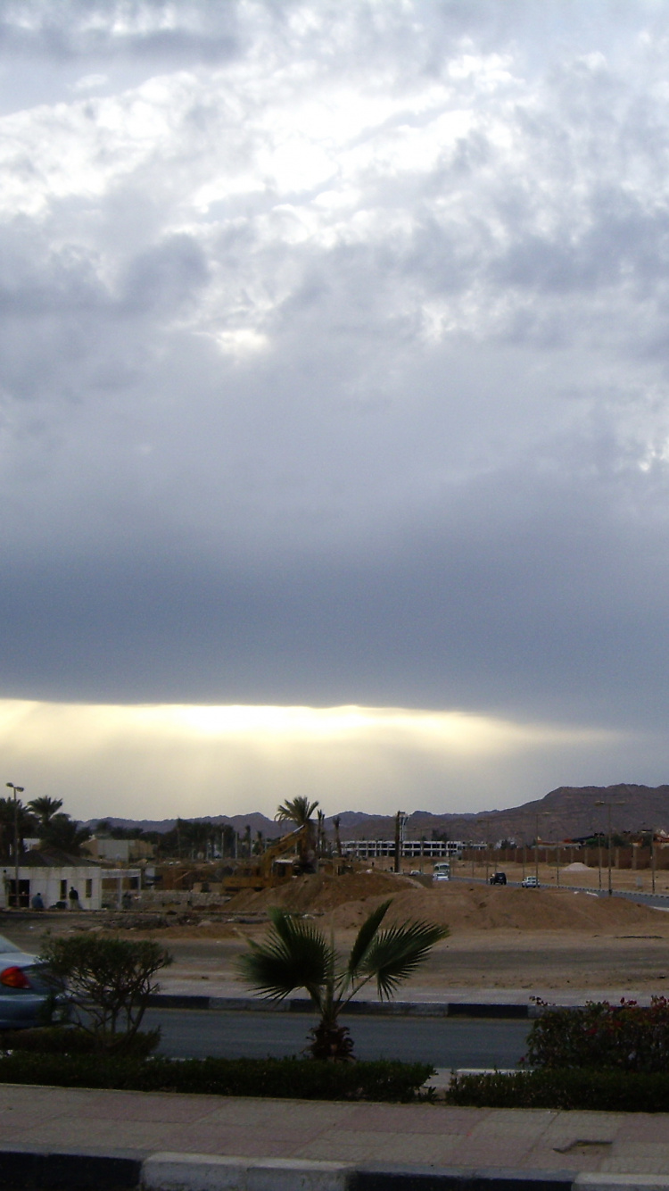 Green Trees Near Body of Water Under Cloudy Sky During Daytime. Wallpaper in 750x1334 Resolution