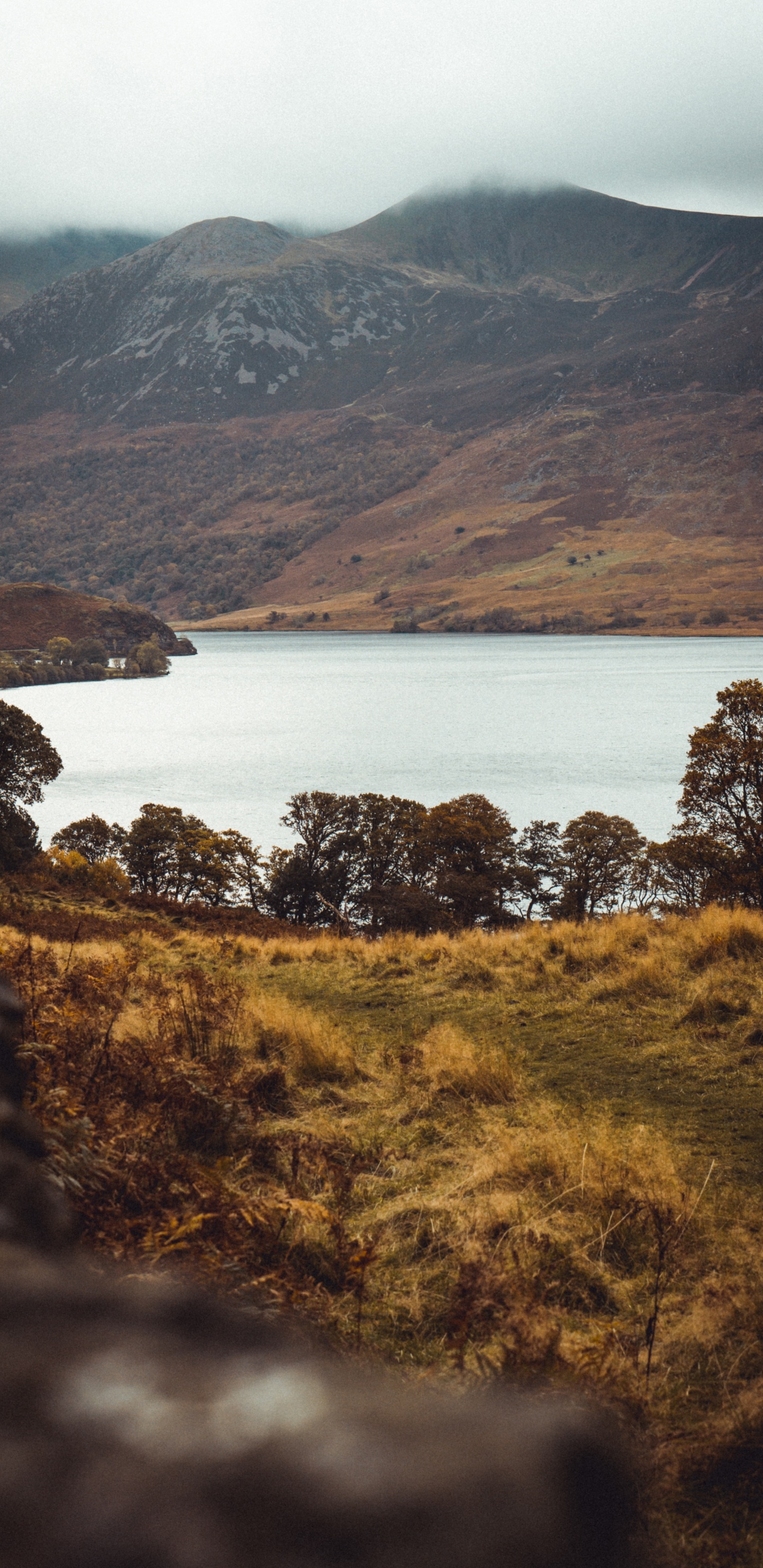 Highland, Nature, Lake, Loch, Hill. Wallpaper in 1440x2960 Resolution