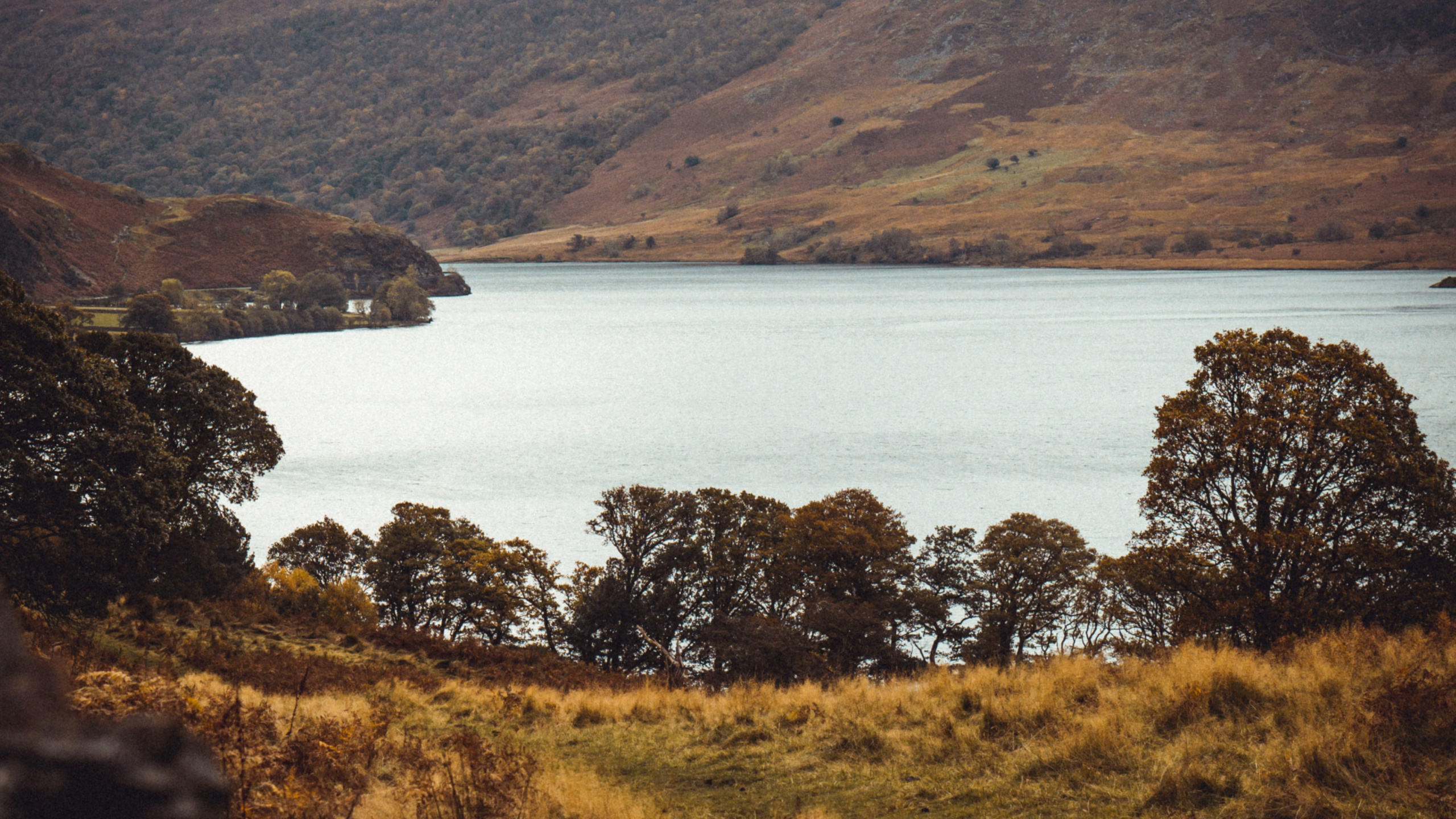 Highland, Nature, Lac, Loch, Colline. Wallpaper in 2560x1440 Resolution