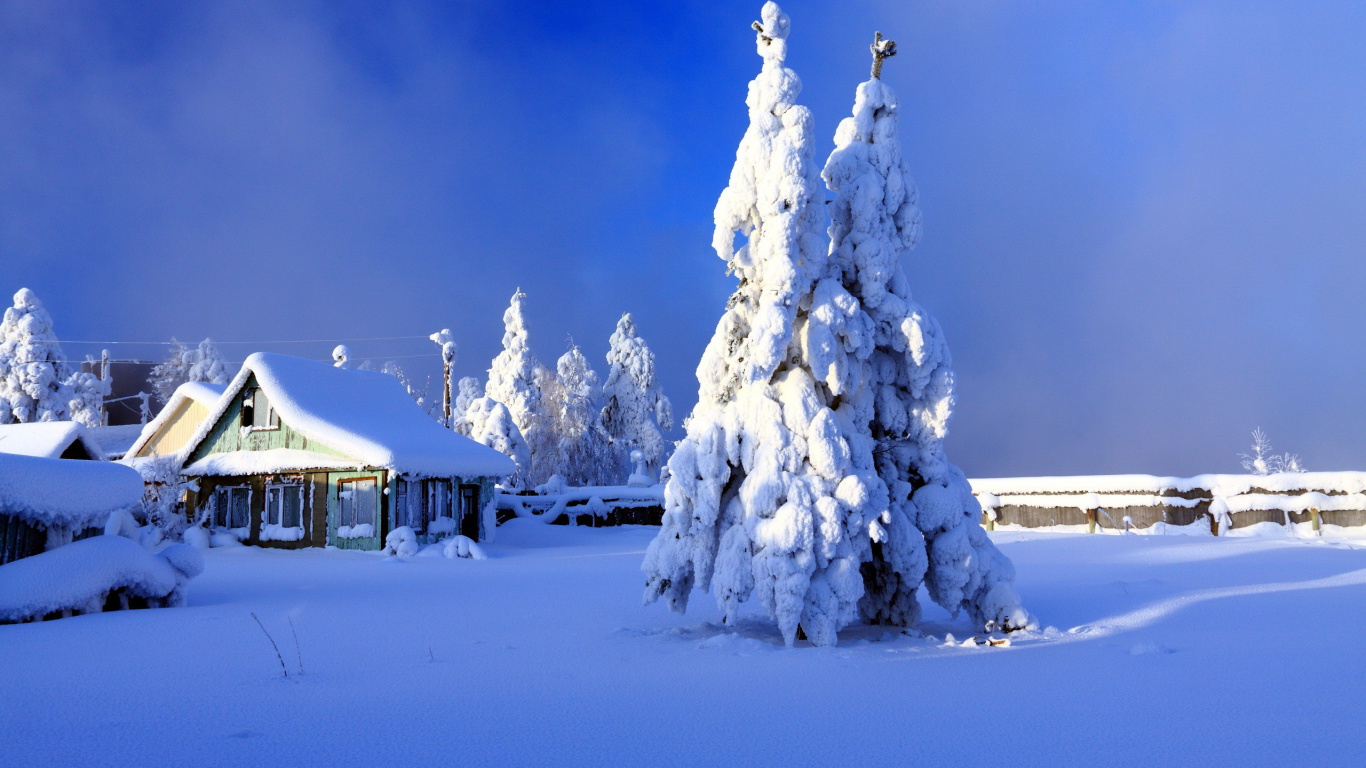 Weißer Baum Bedeckt Mit Schnee Unter Blauem Himmel Tagsüber. Wallpaper in 1366x768 Resolution