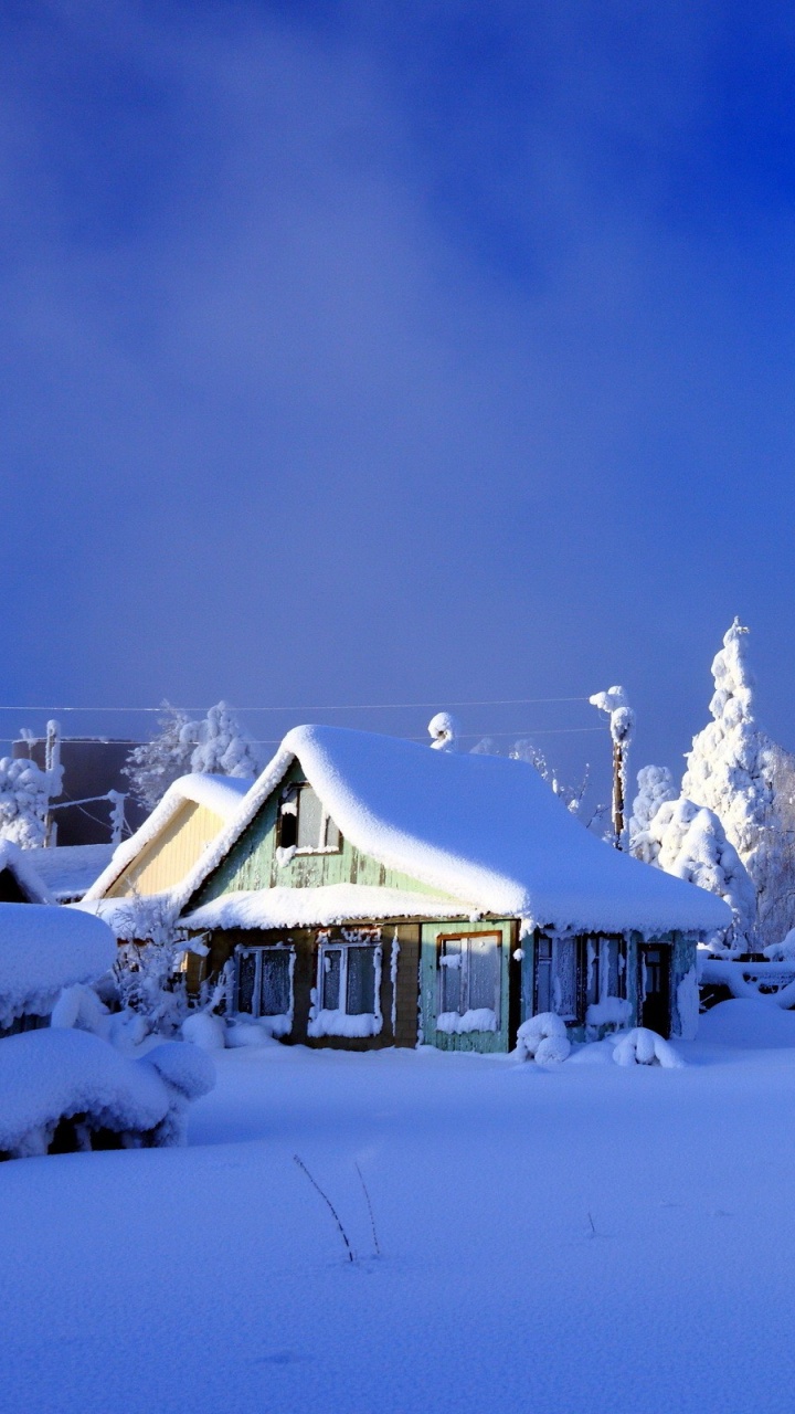 White Tree Covered With Snow Under Blue Sky During Daytime. Wallpaper in 720x1280 Resolution
