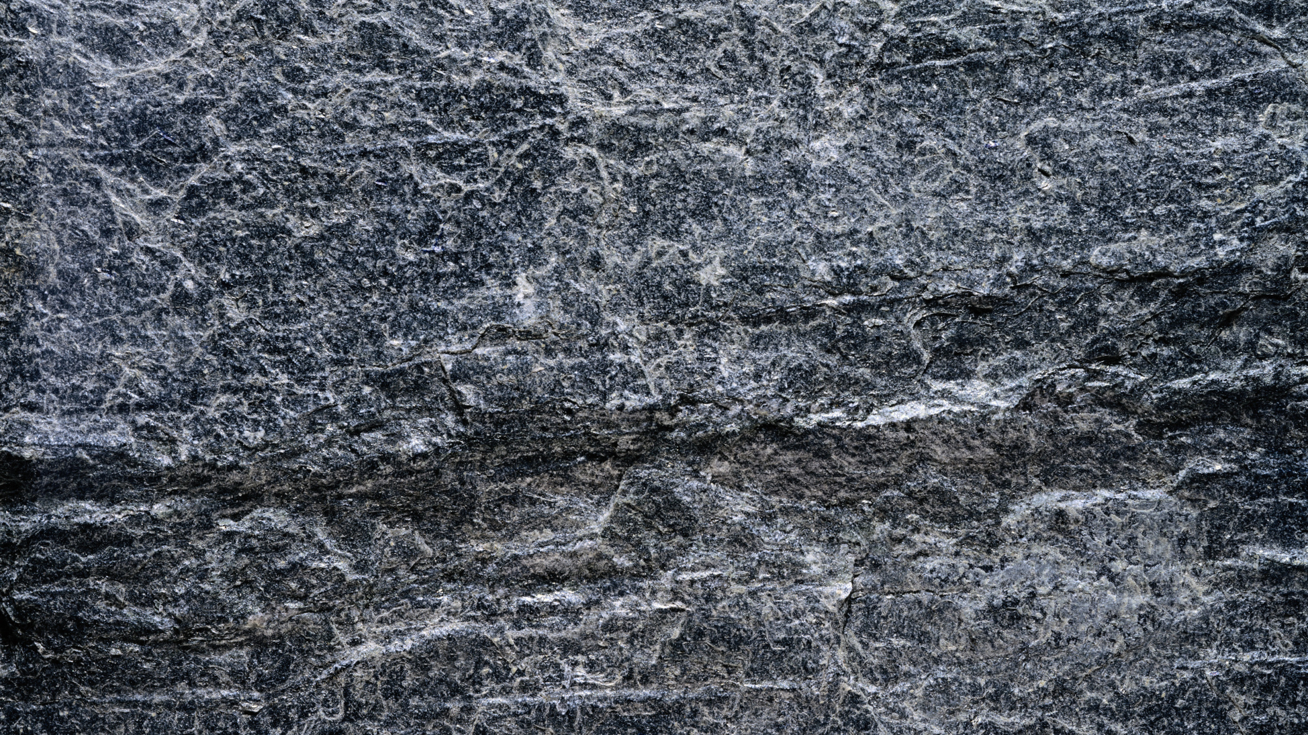 Muro de Hormigón Gris y Negro. Wallpaper in 2560x1440 Resolution