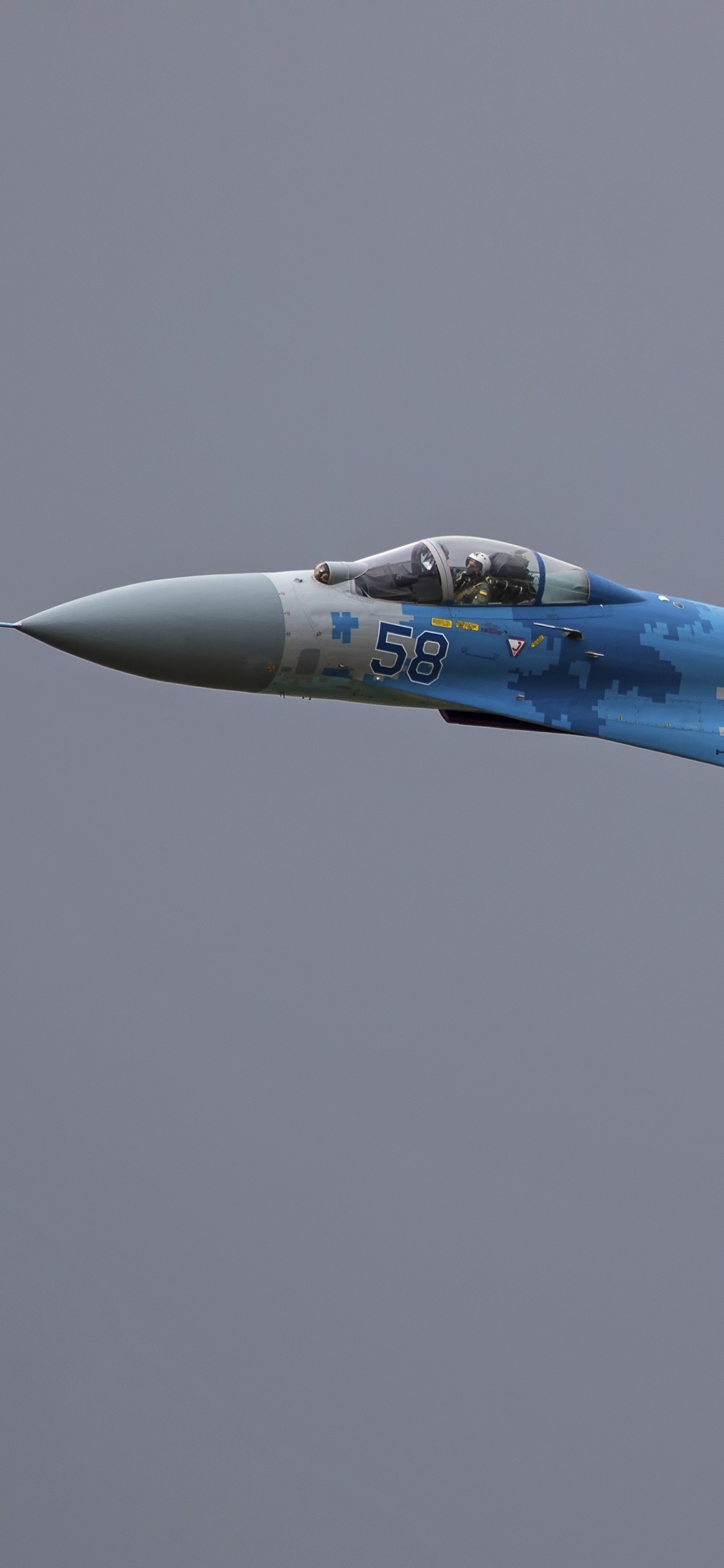 俄罗斯空军, 军用飞机, 空军, 喷气式飞机, 航班 壁纸 1125x2436 允许