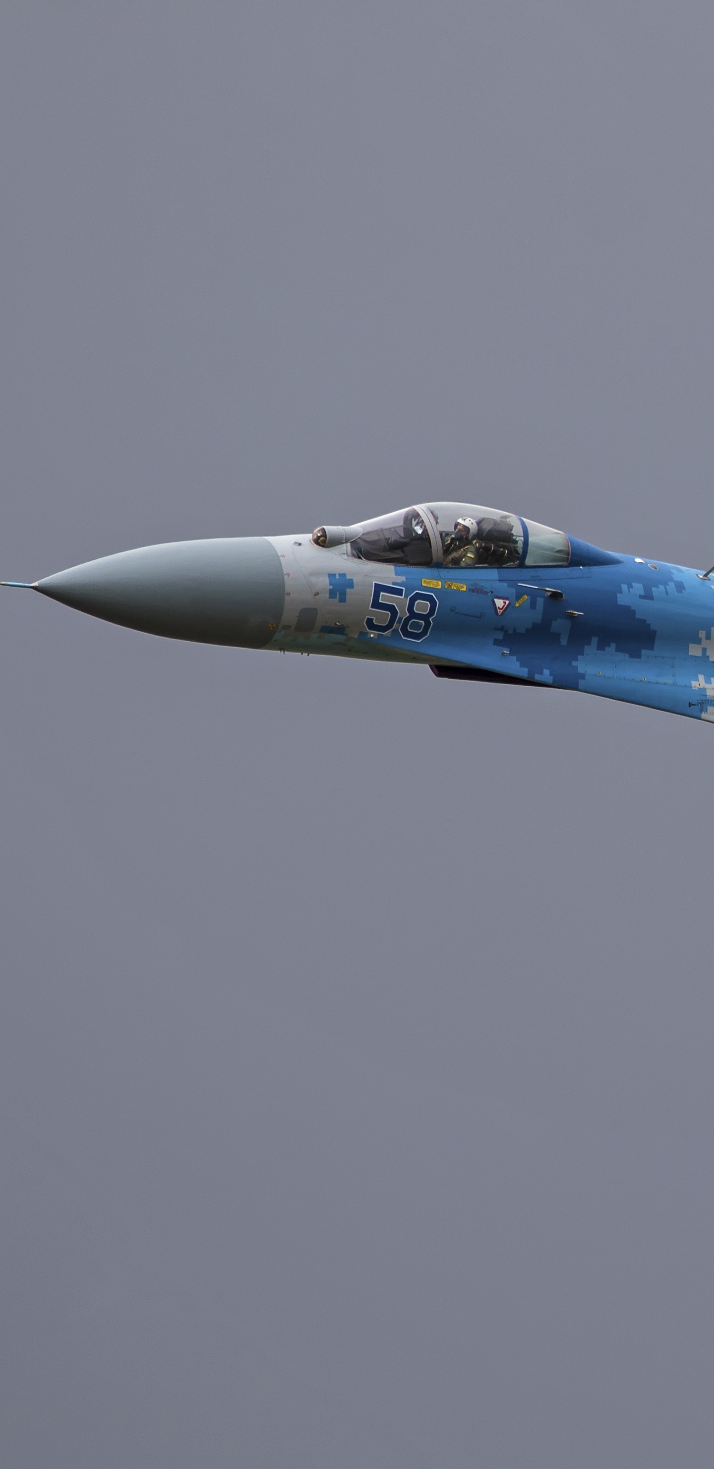 俄罗斯空军, 军用飞机, 空军, 喷气式飞机, 航班 壁纸 1440x2960 允许