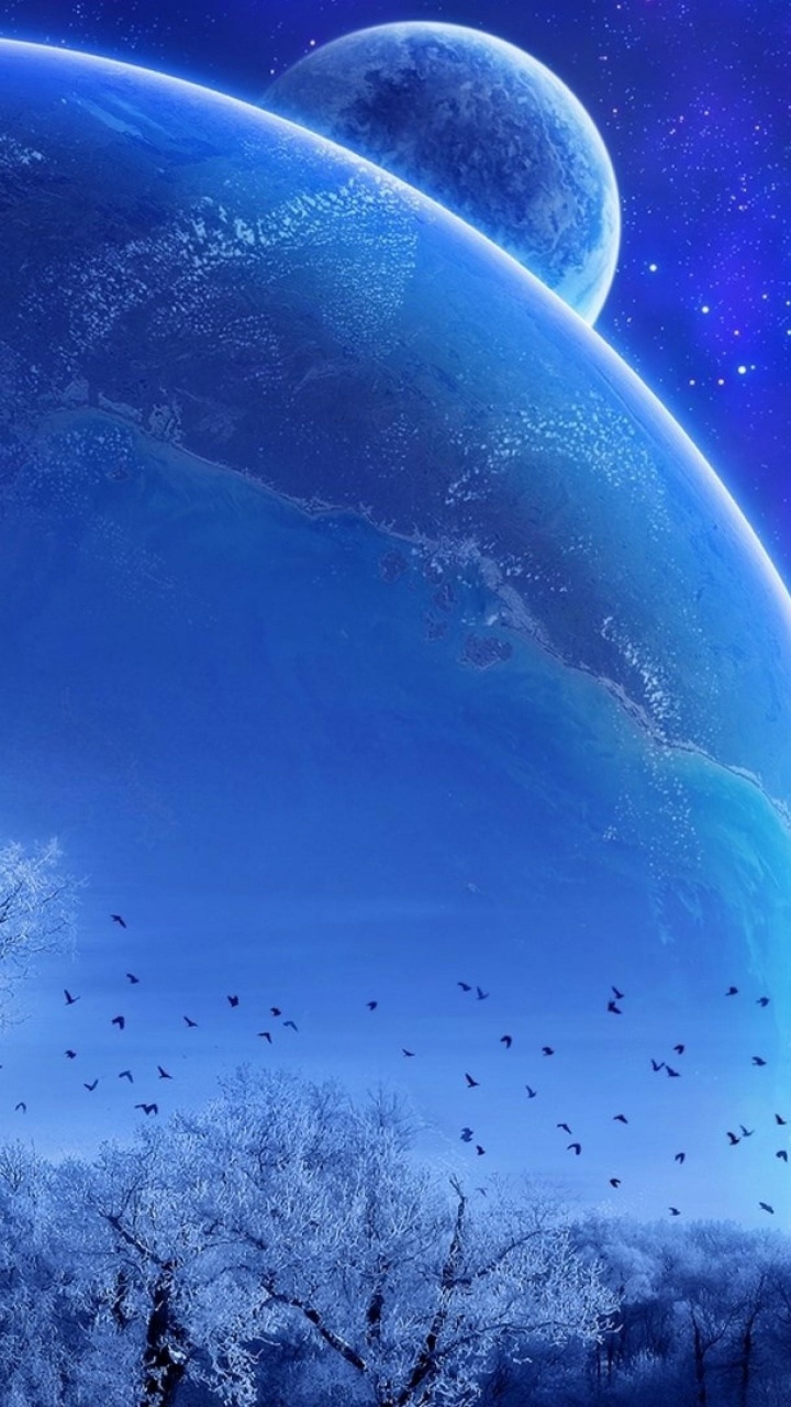 Árboles Desnudos Bajo un Cielo Azul Con Estrellas Durante la Noche. Wallpaper in 720x1280 Resolution